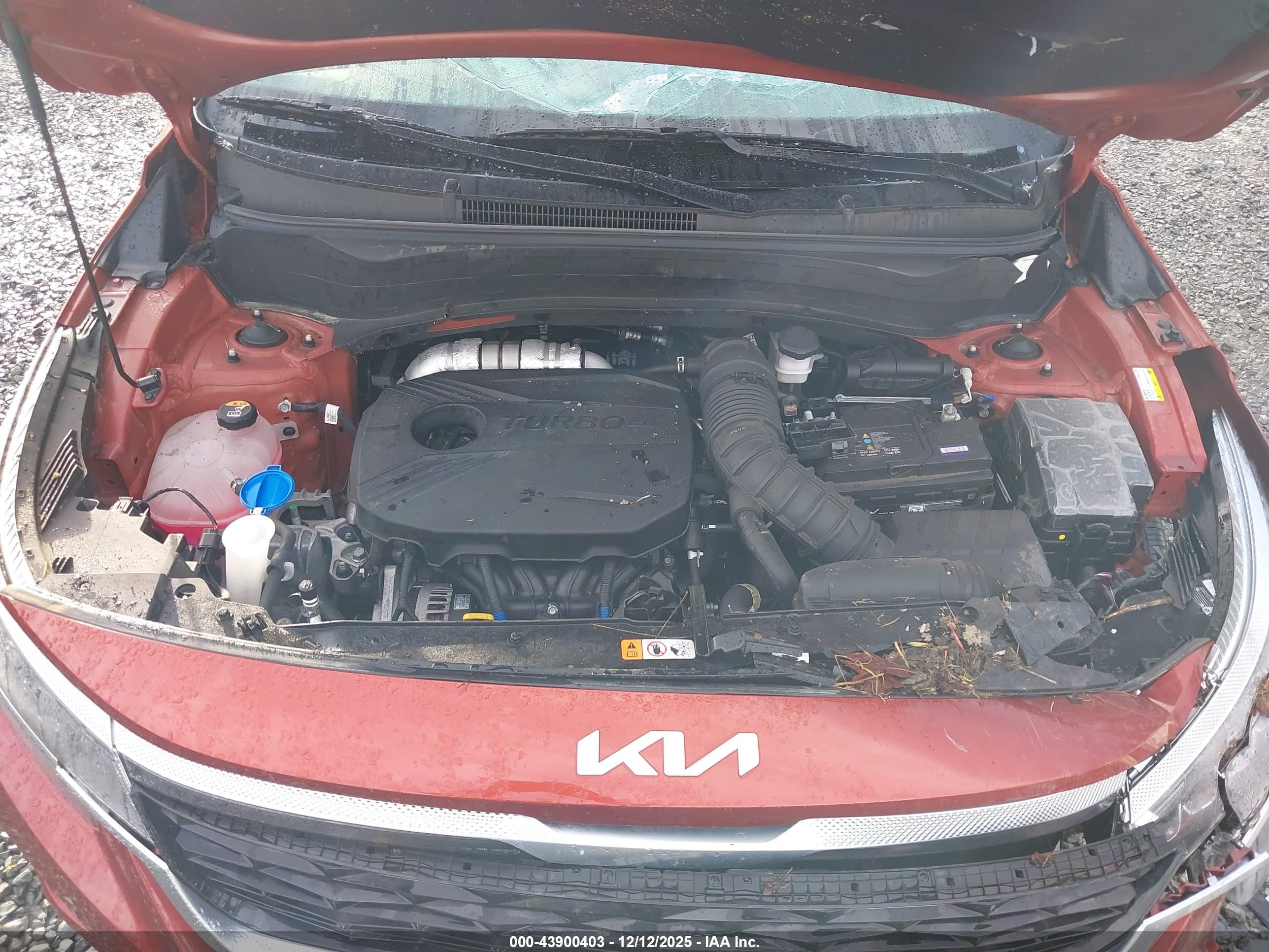 KIA SELTOS image 10