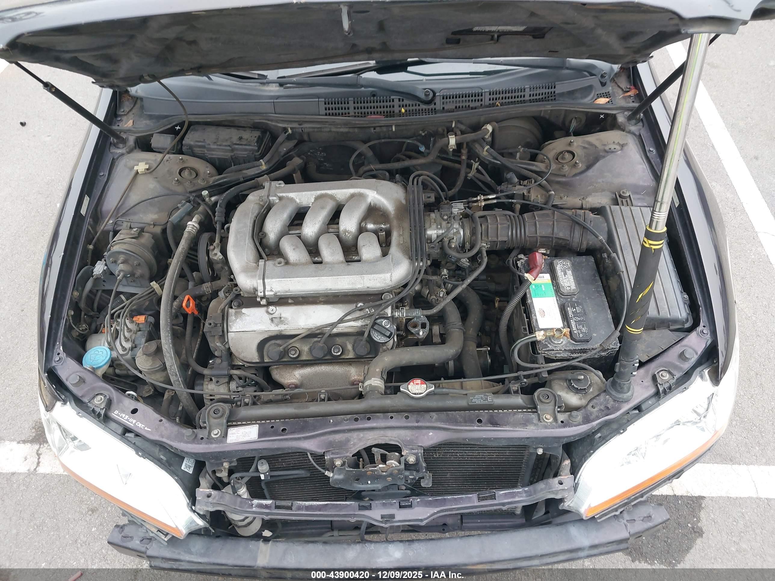 HONDA ACCORD image 10