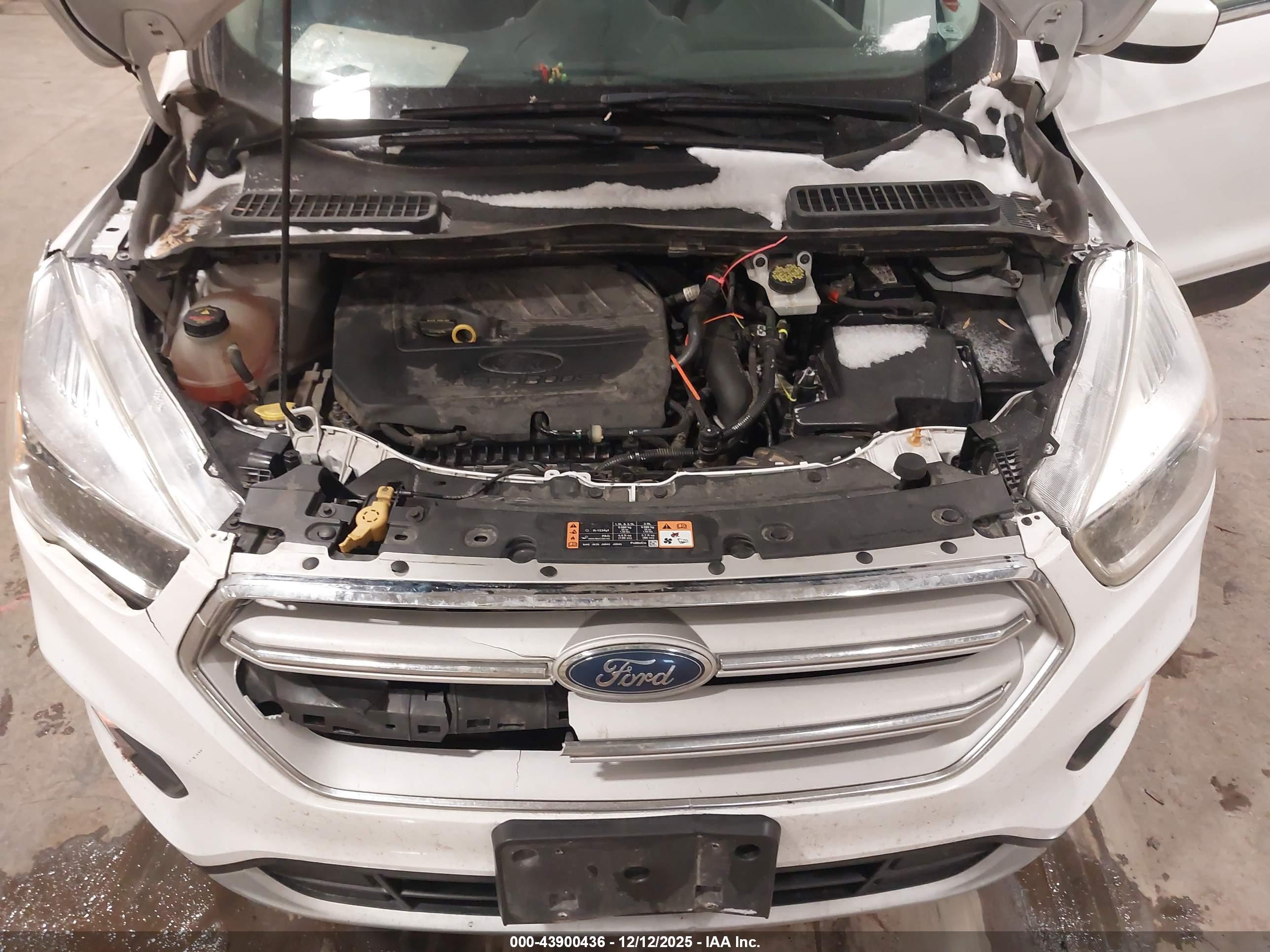 FORD ESCAPE image 10