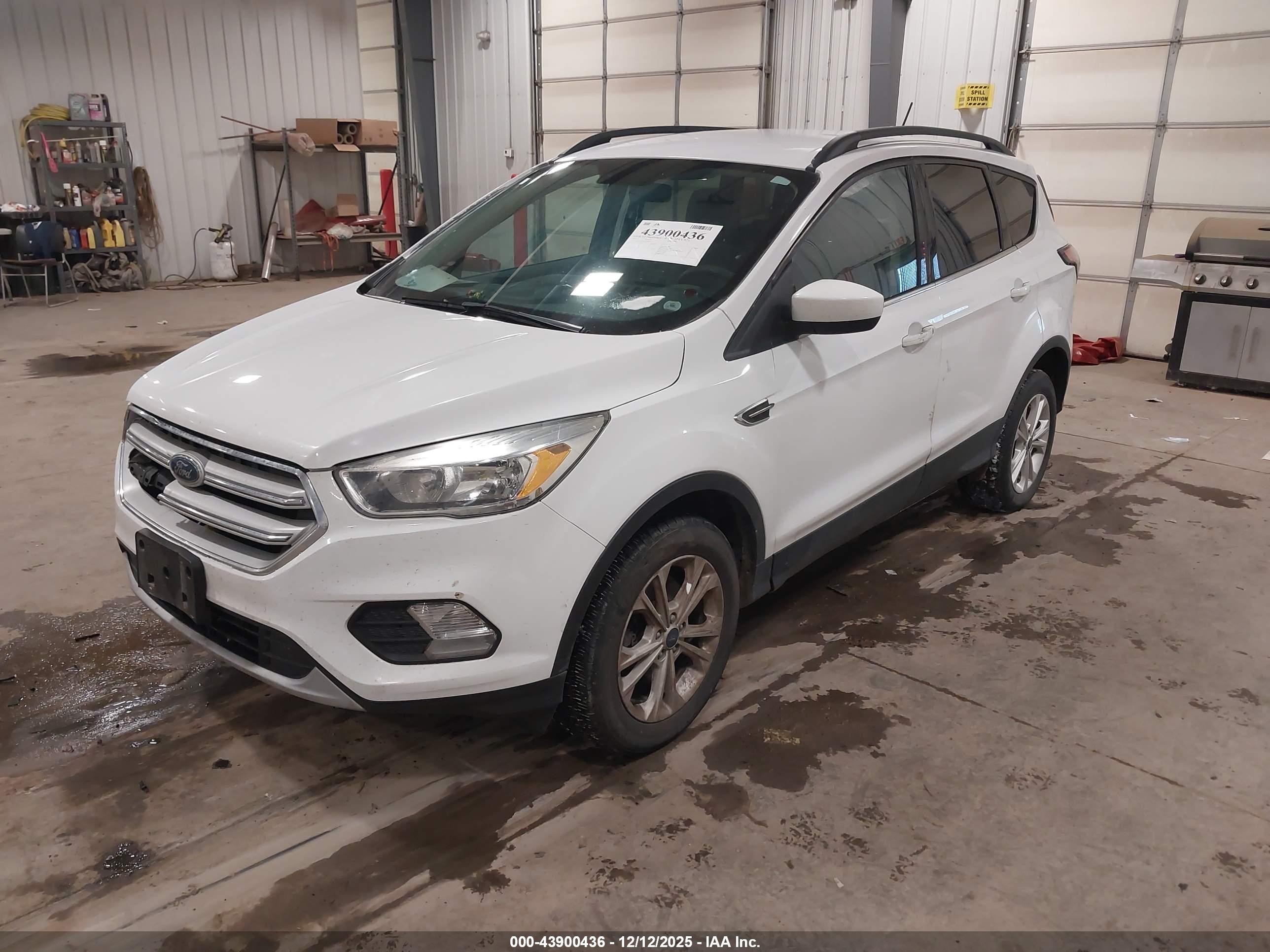 FORD ESCAPE image 2