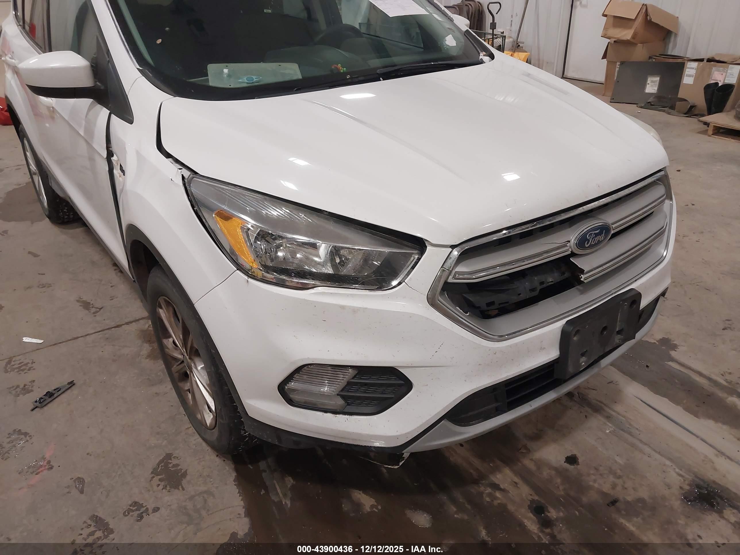 FORD ESCAPE image 6