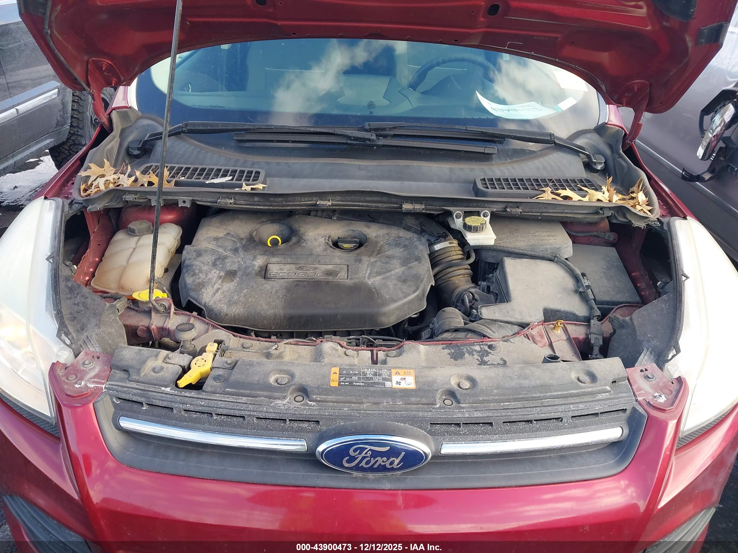 FORD ESCAPE image 10