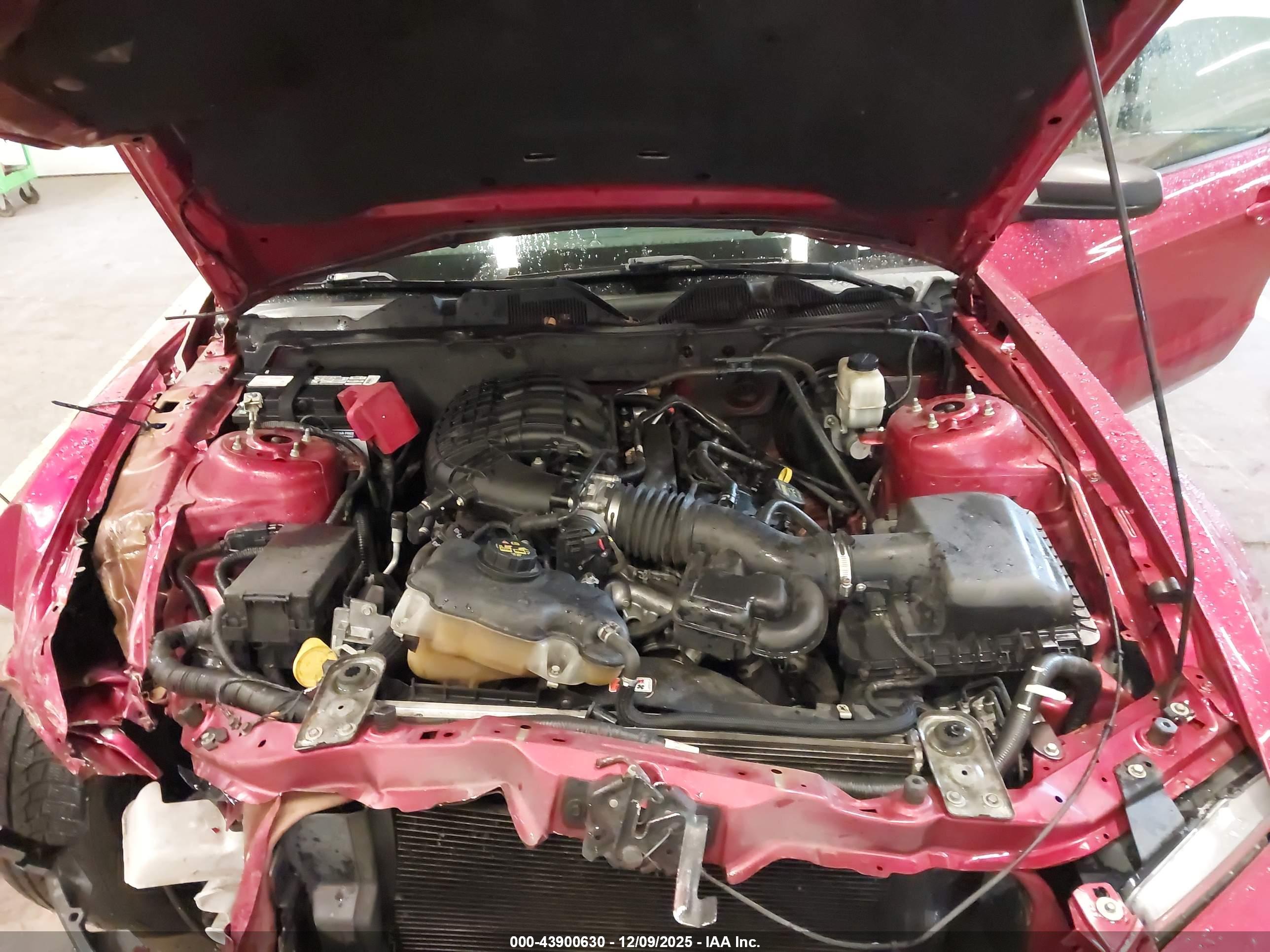 FORD MUSTANG image 10