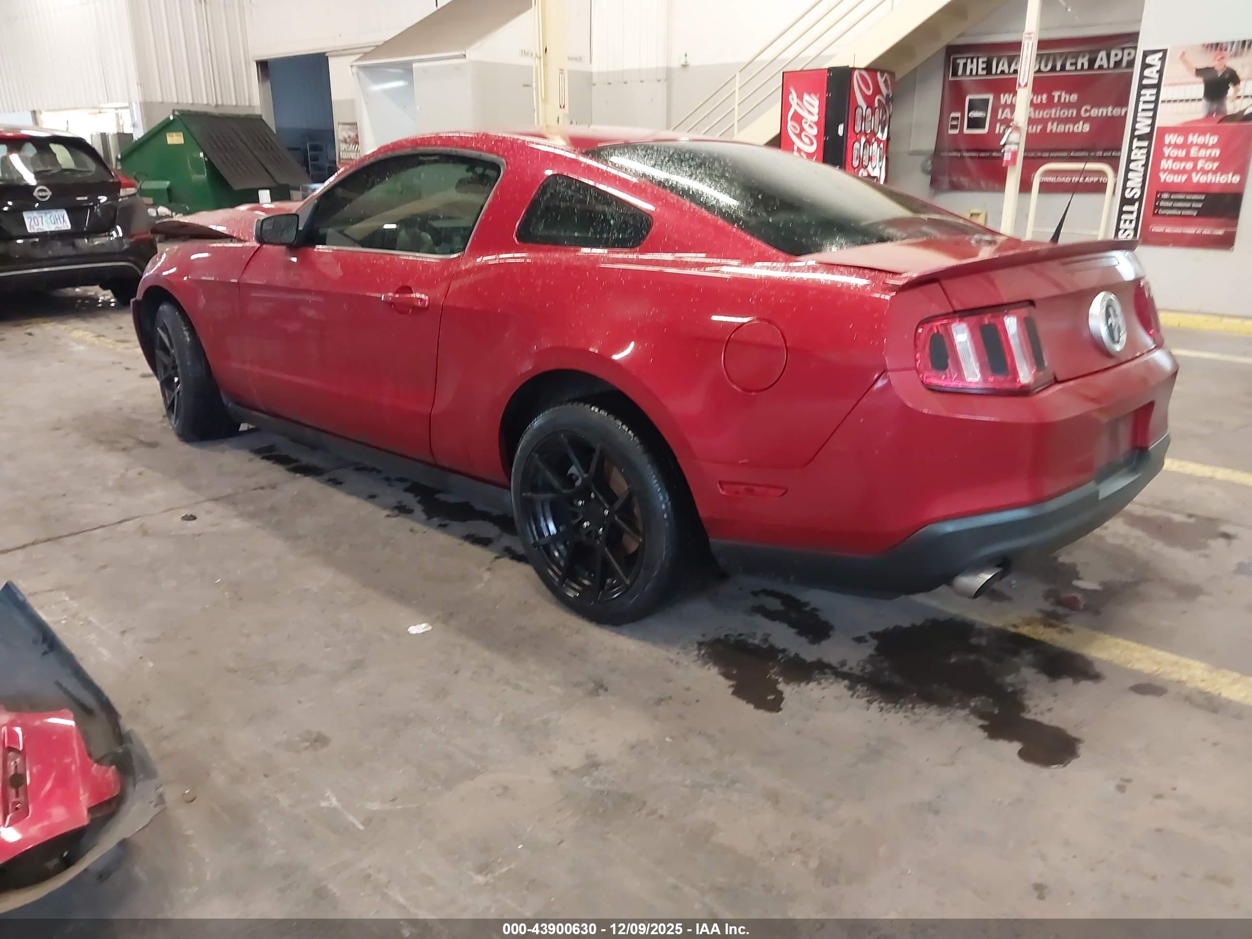 FORD MUSTANG image 3