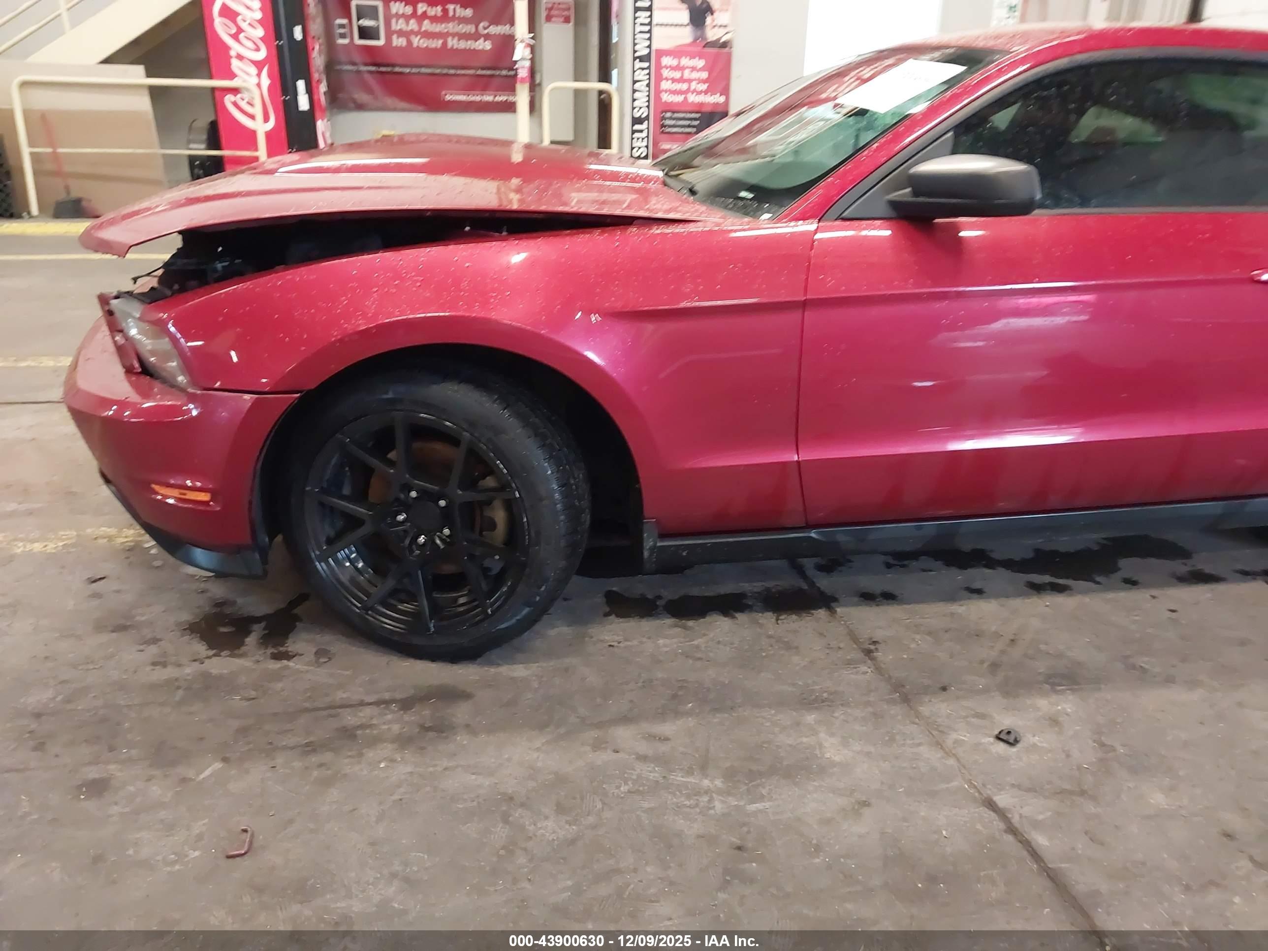 FORD MUSTANG image 6