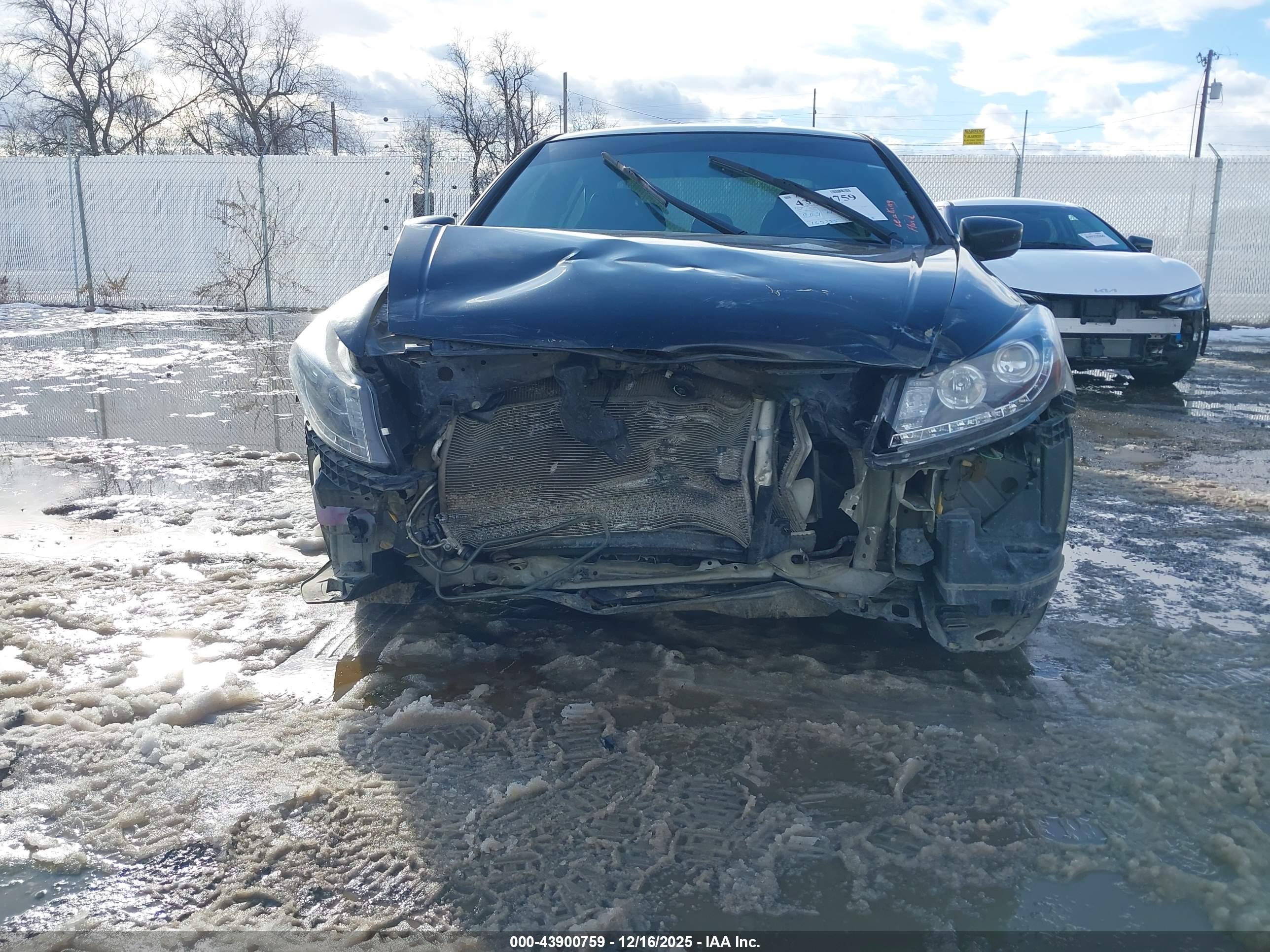 HONDA ACCORD image 6