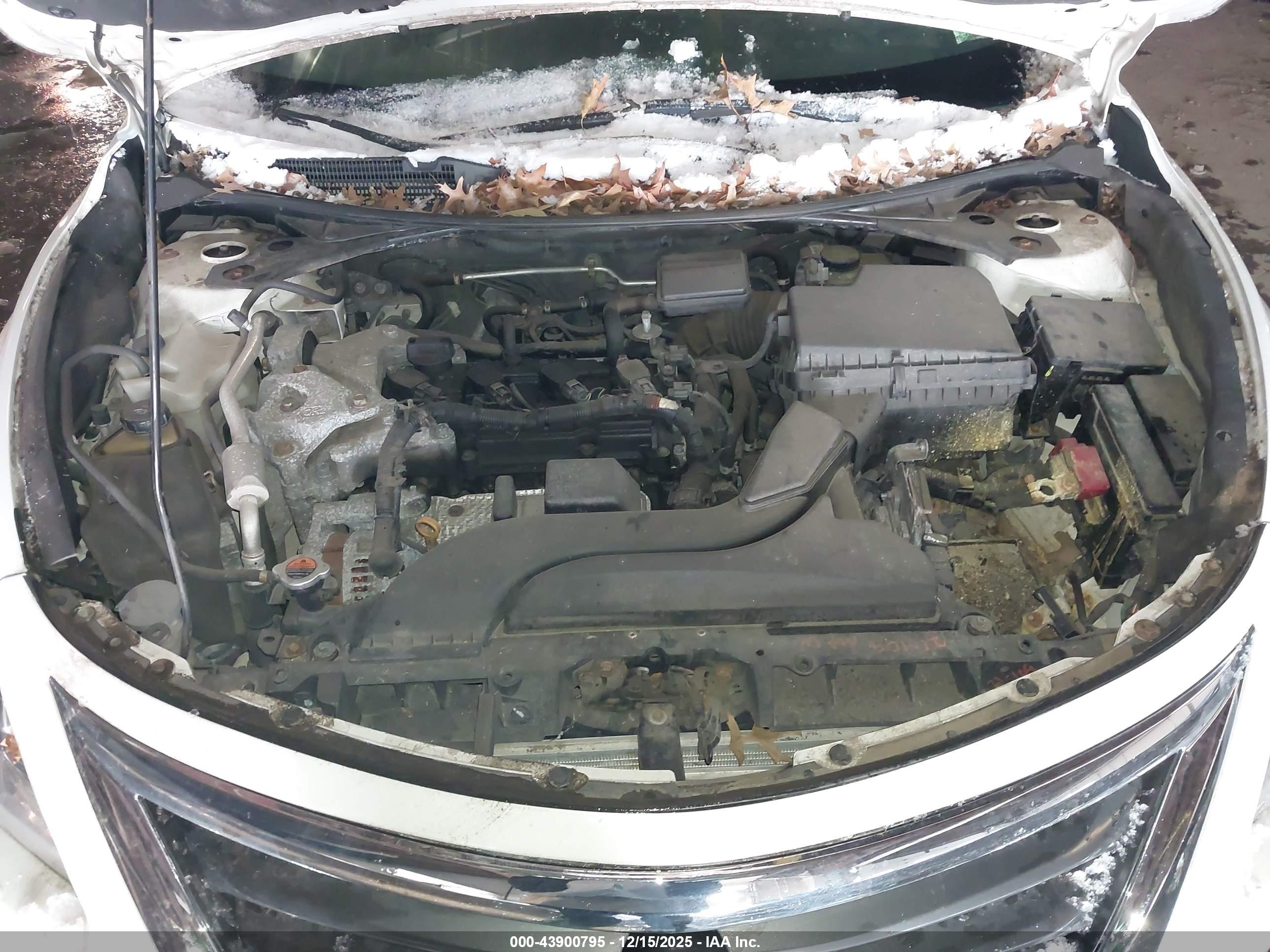 NISSAN ALTIMA image 10
