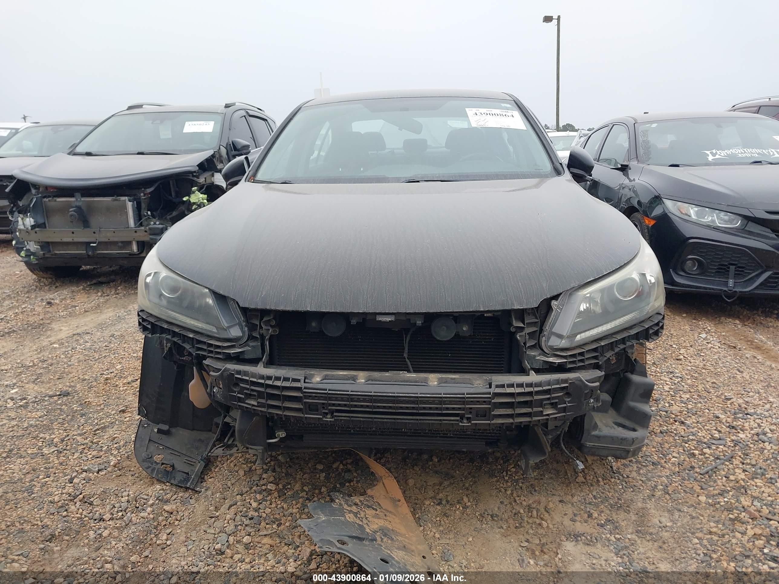 HONDA ACCORD image 6