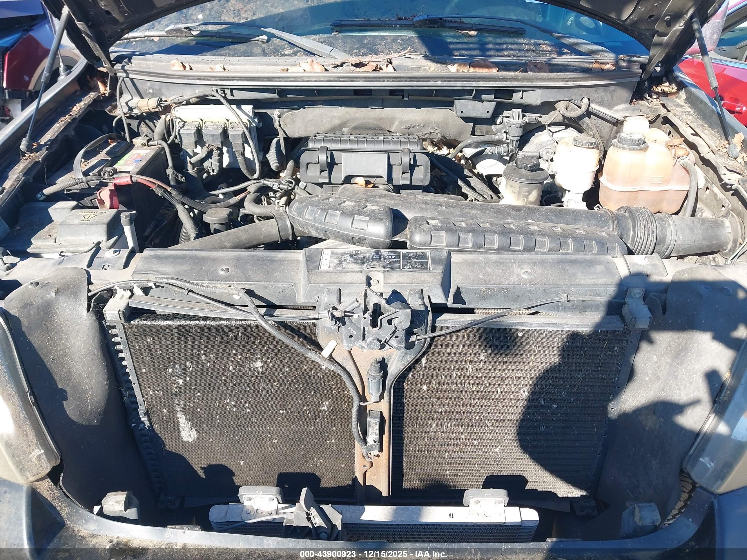 FORD F-150 image 10
