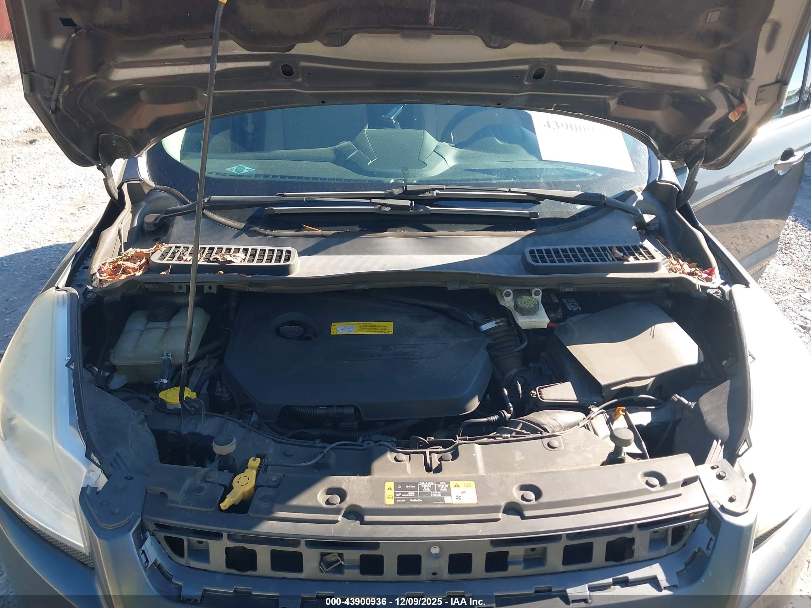 FORD ESCAPE image 10