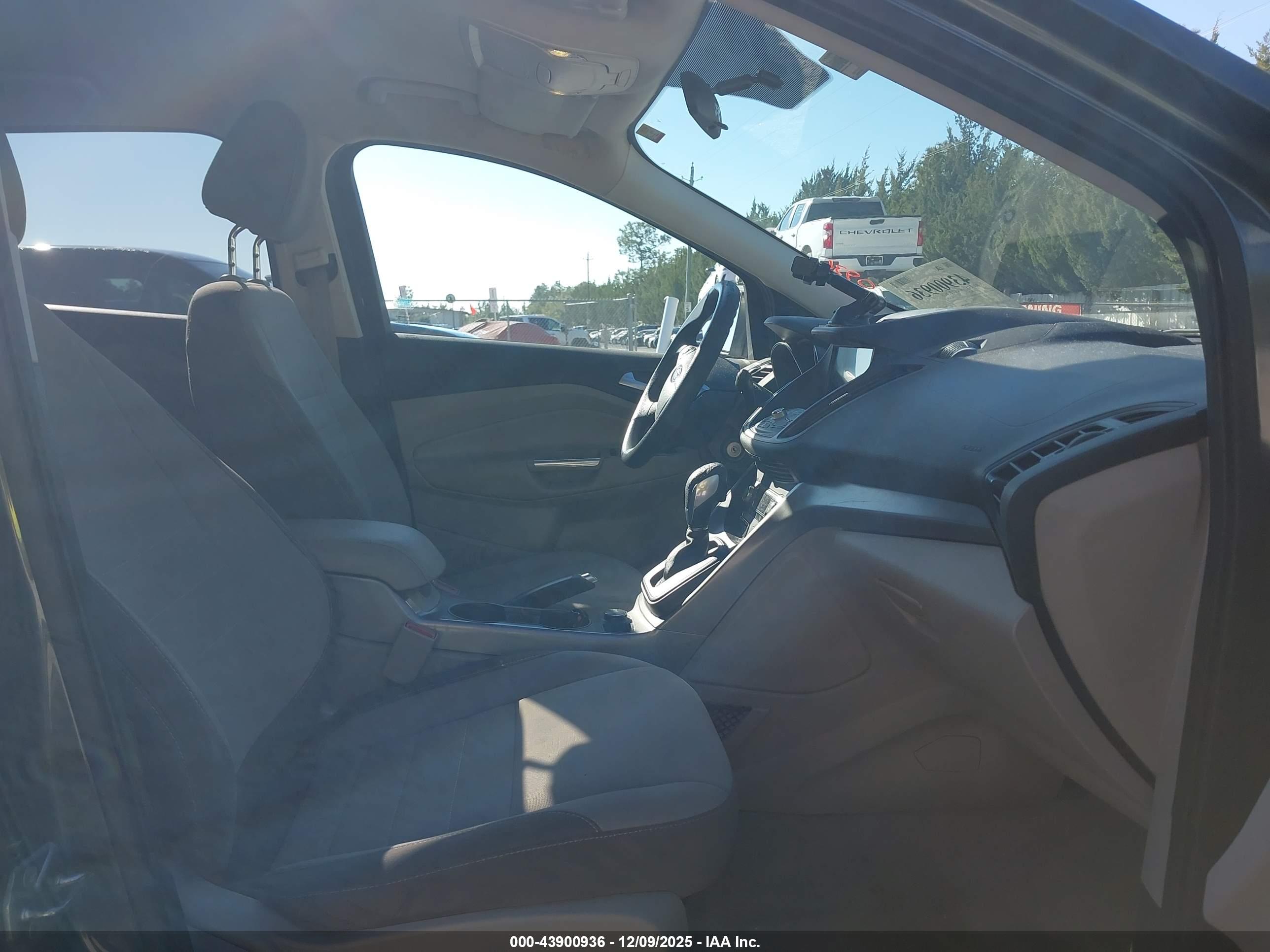 FORD ESCAPE image 5