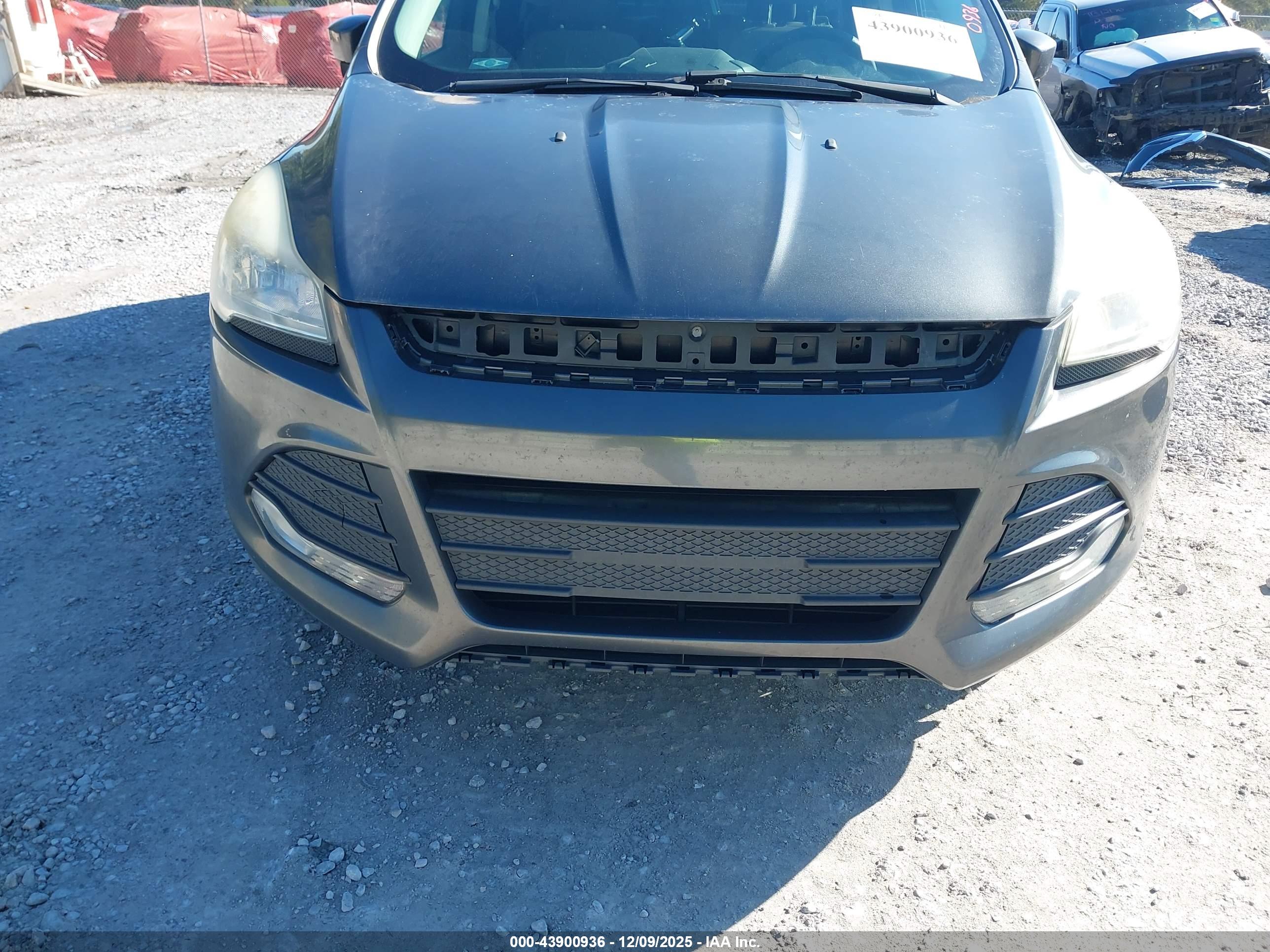 FORD ESCAPE image 6