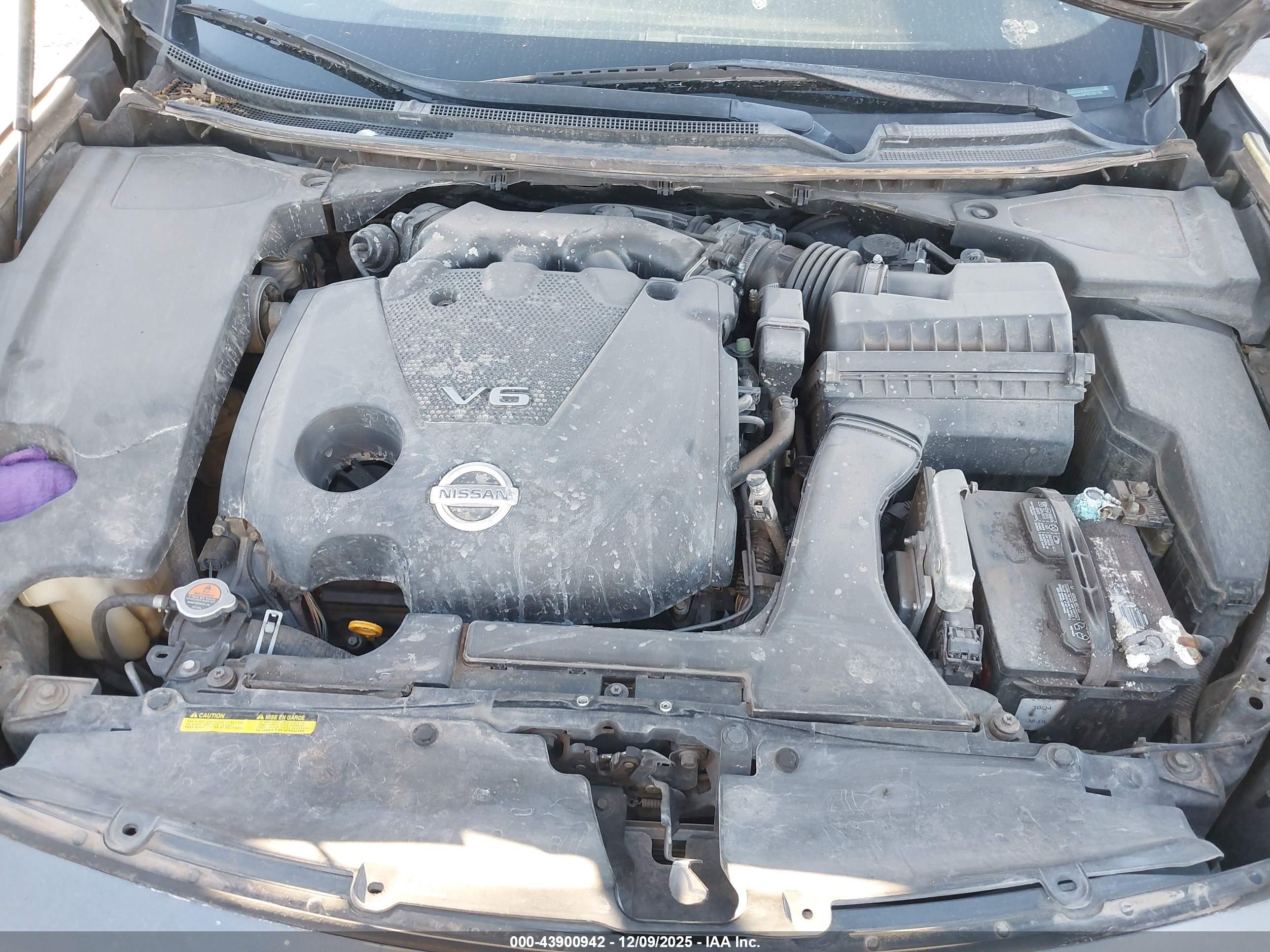 NISSAN MAXIMA image 10