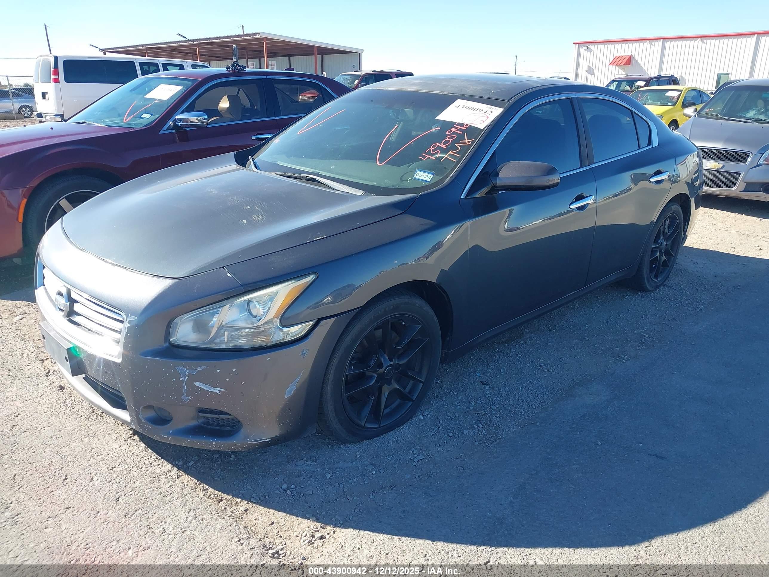 NISSAN MAXIMA image 2