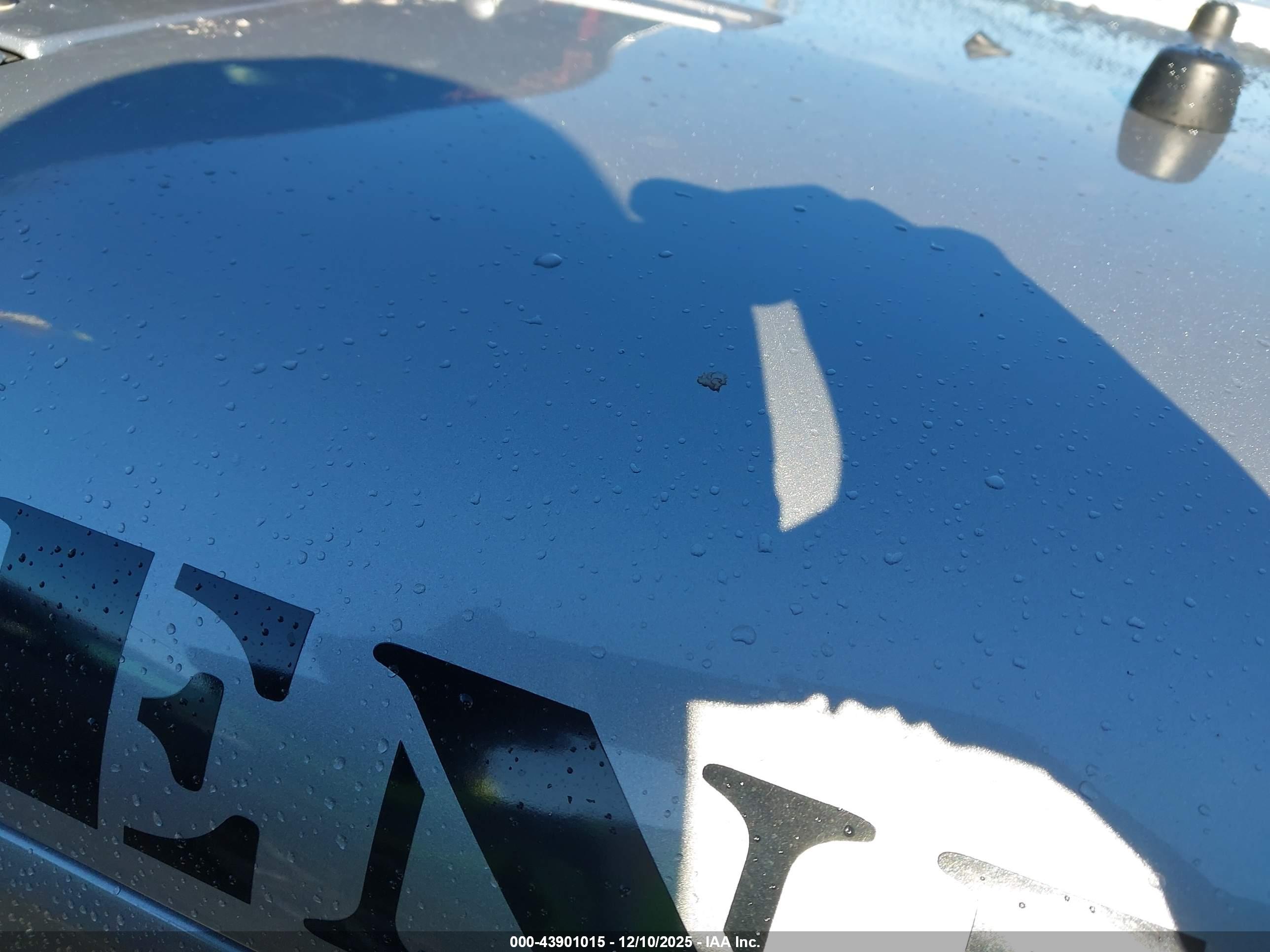 JEEP WRANGLER image 6