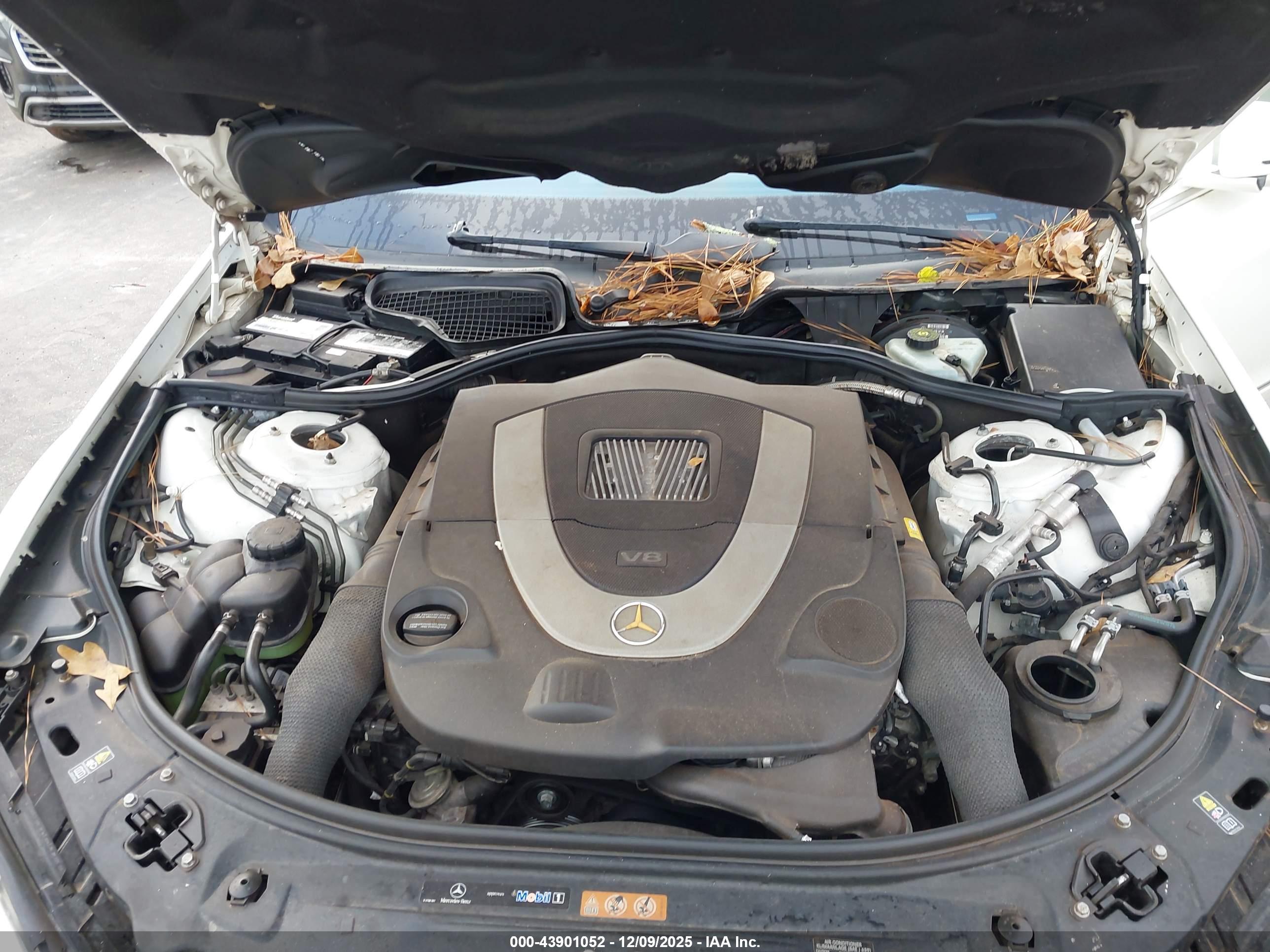 MERCEDES-BENZ S image 10