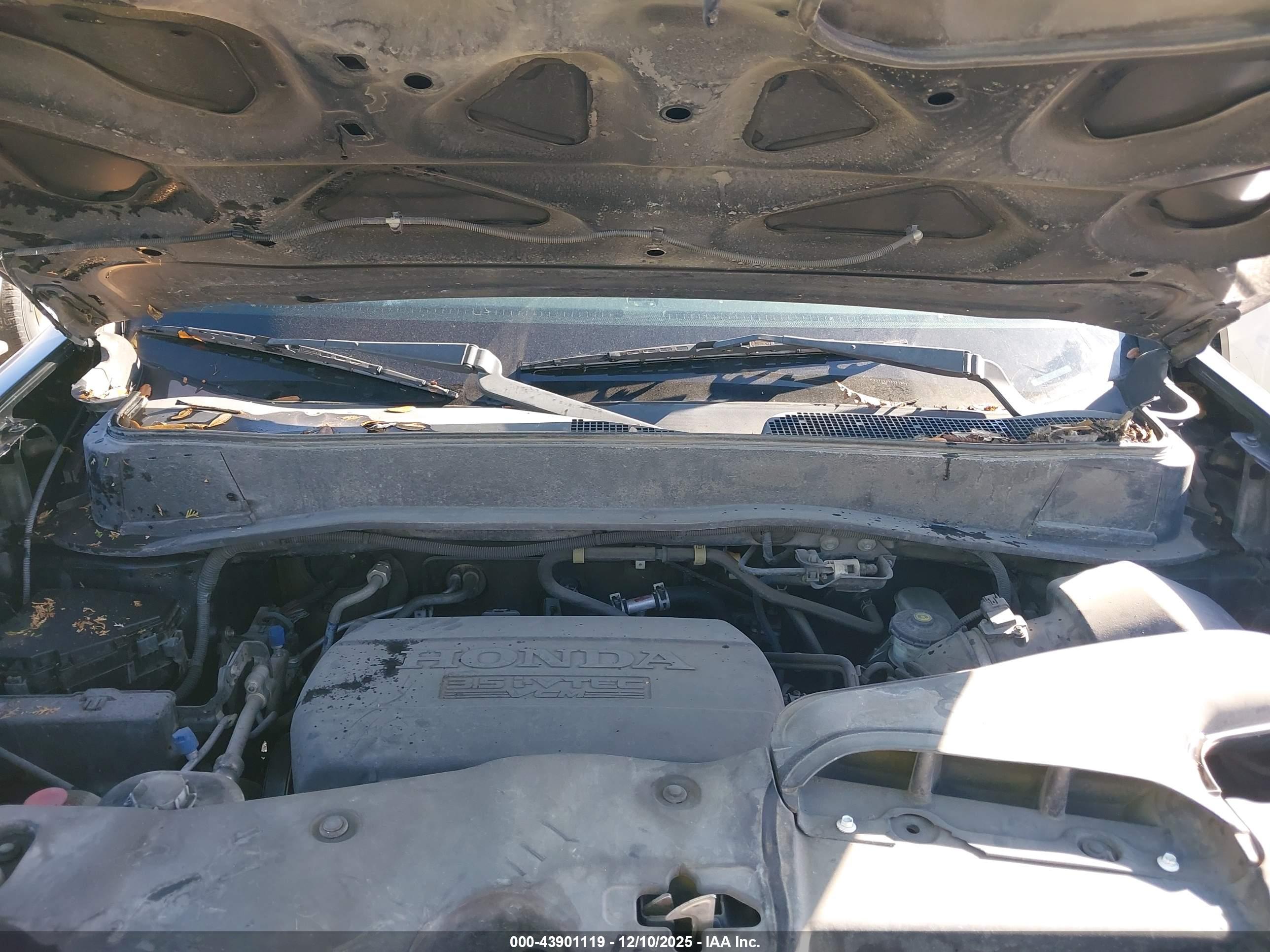 HONDA PILOT image 10