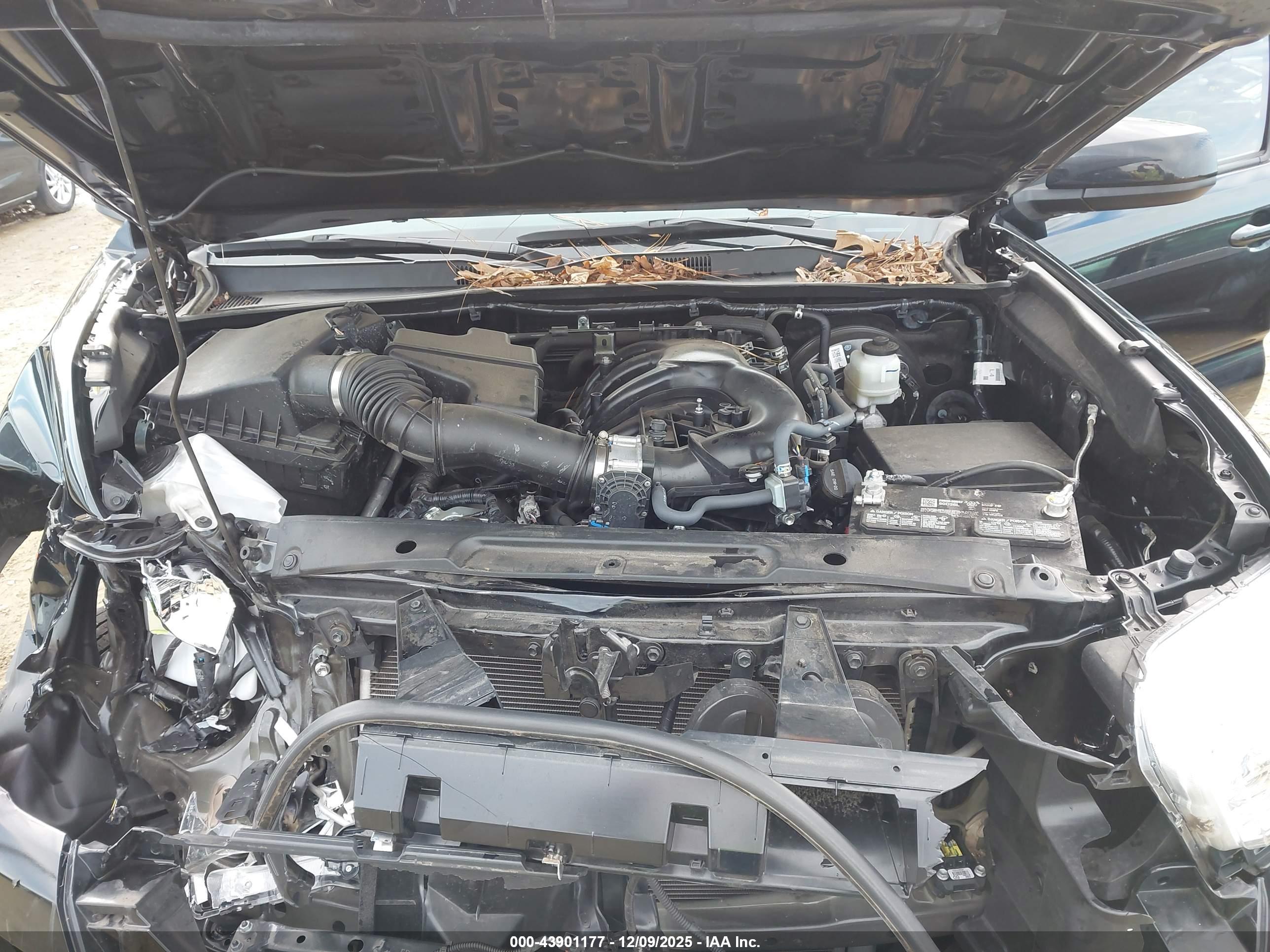 TOYOTA TACOMA image 10