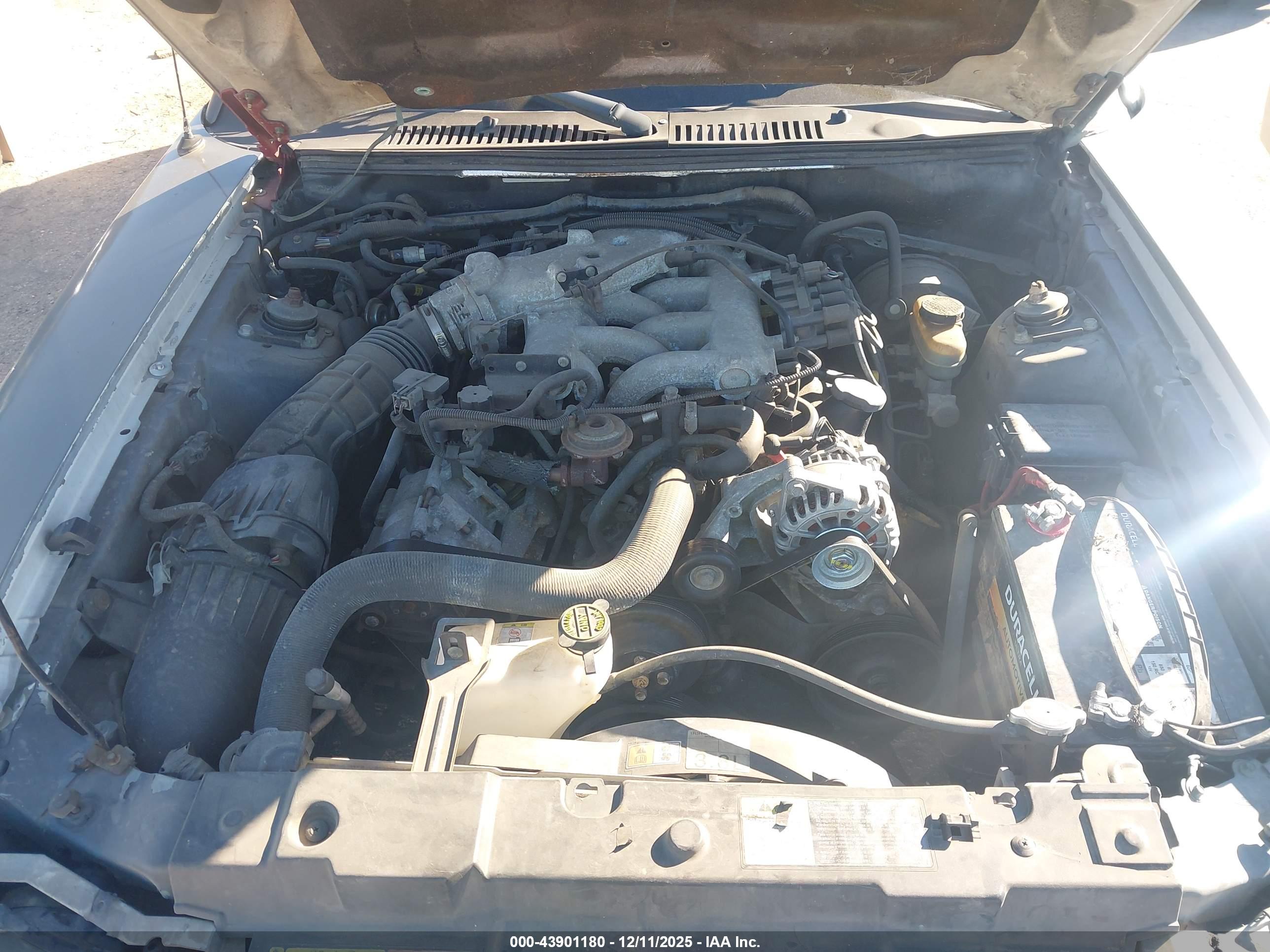 FORD MUSTANG image 10