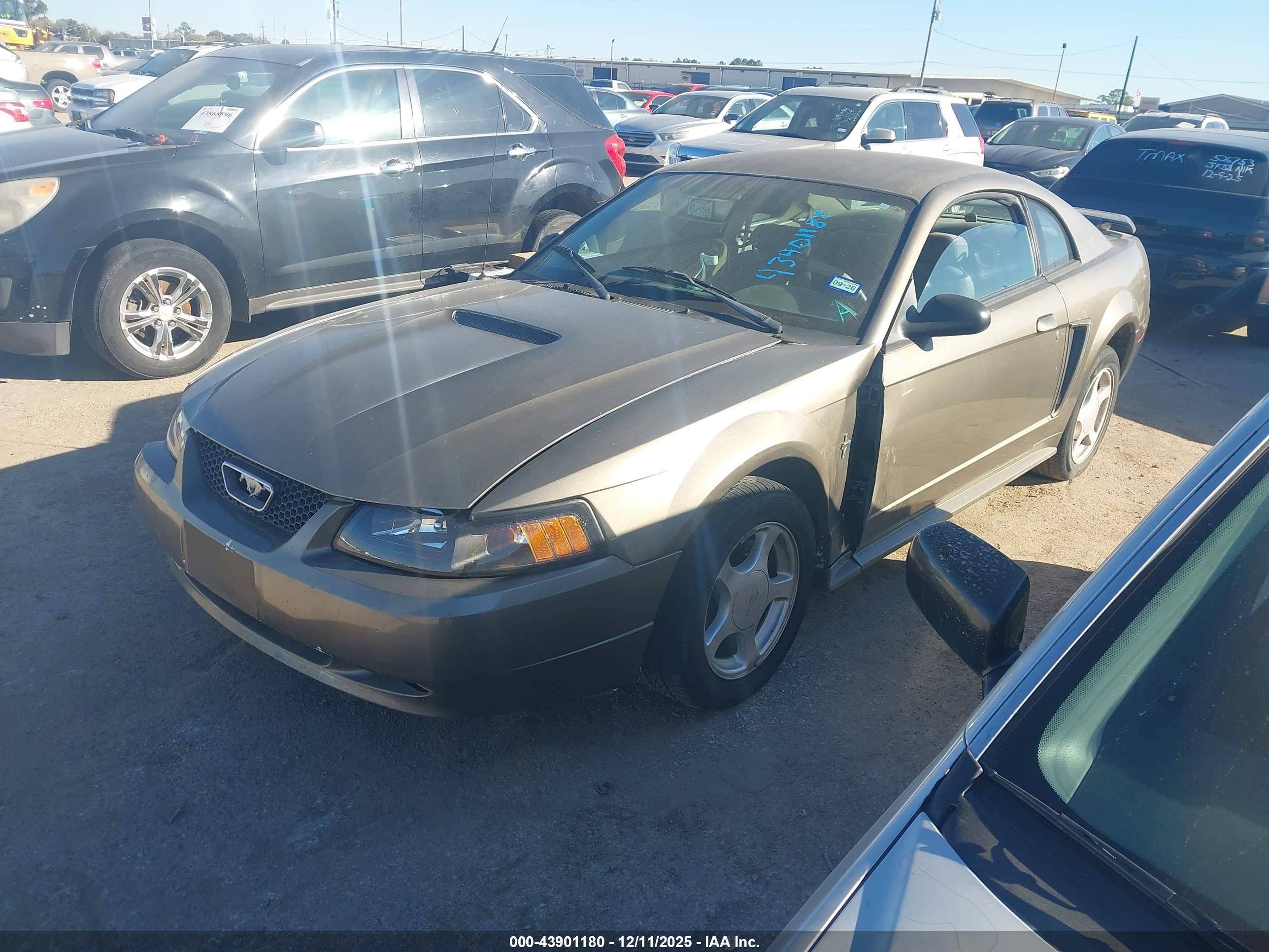 FORD MUSTANG image 2