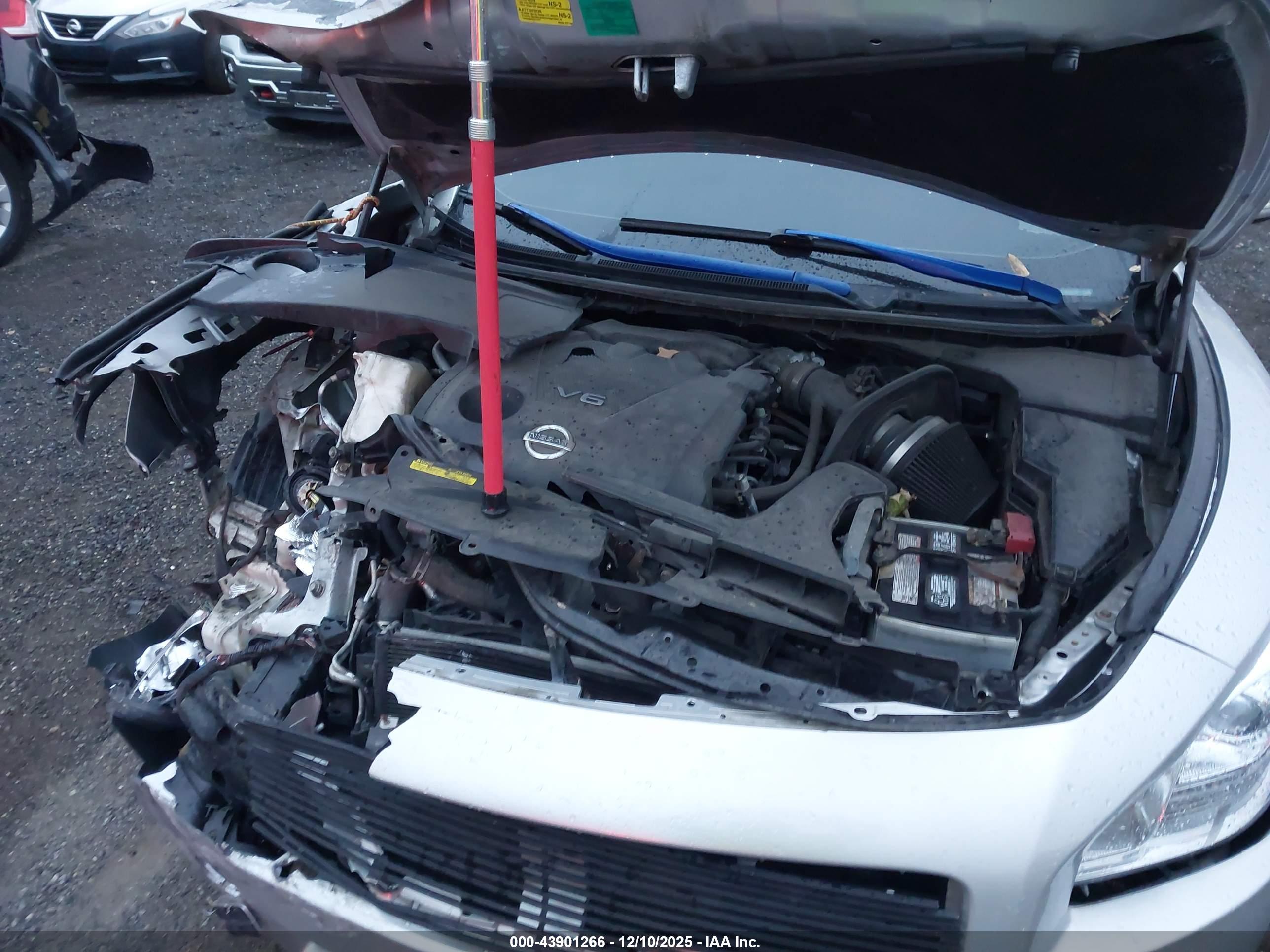 NISSAN MAXIMA image 10