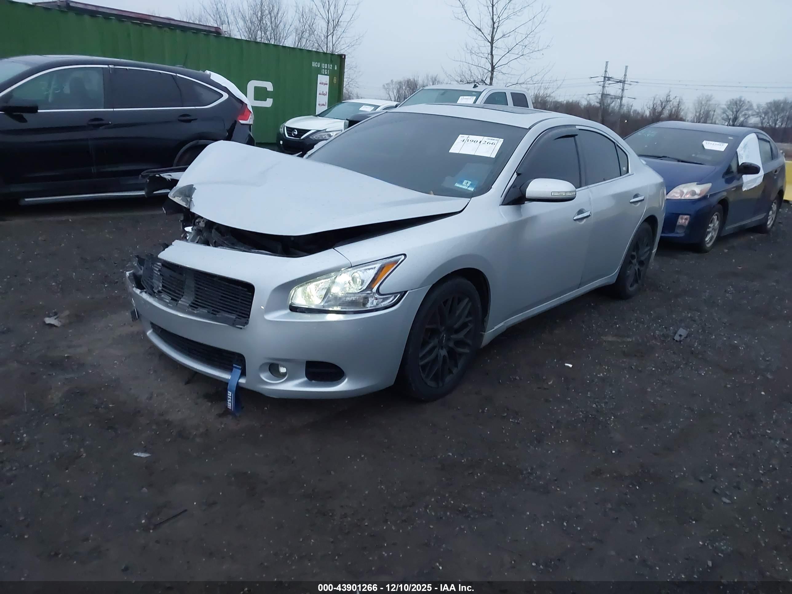 NISSAN MAXIMA image 2