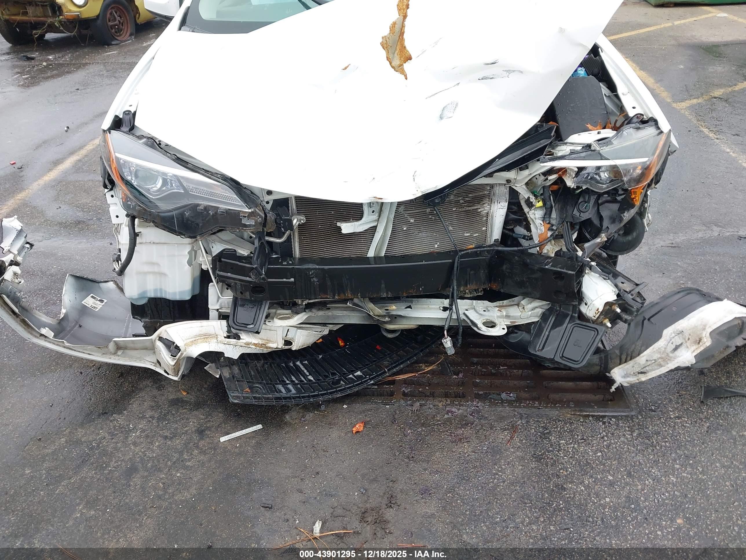 TOYOTA COROLLA image 6