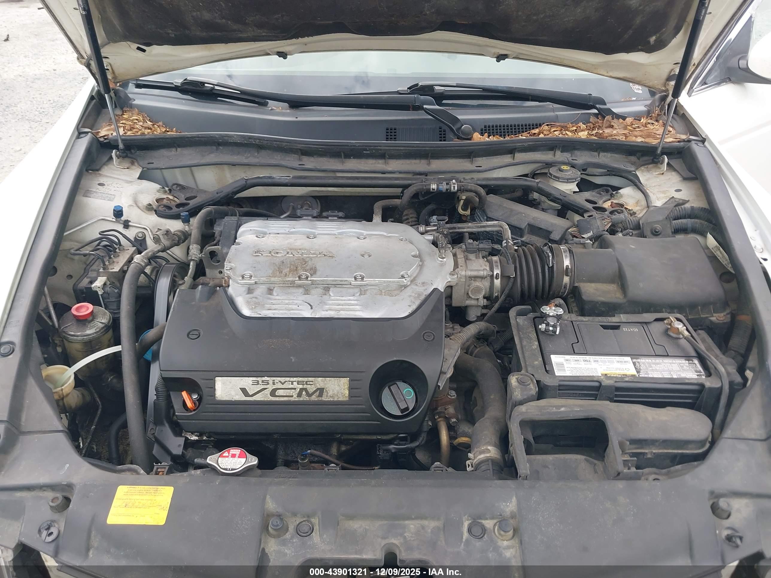 HONDA ACCORD image 10