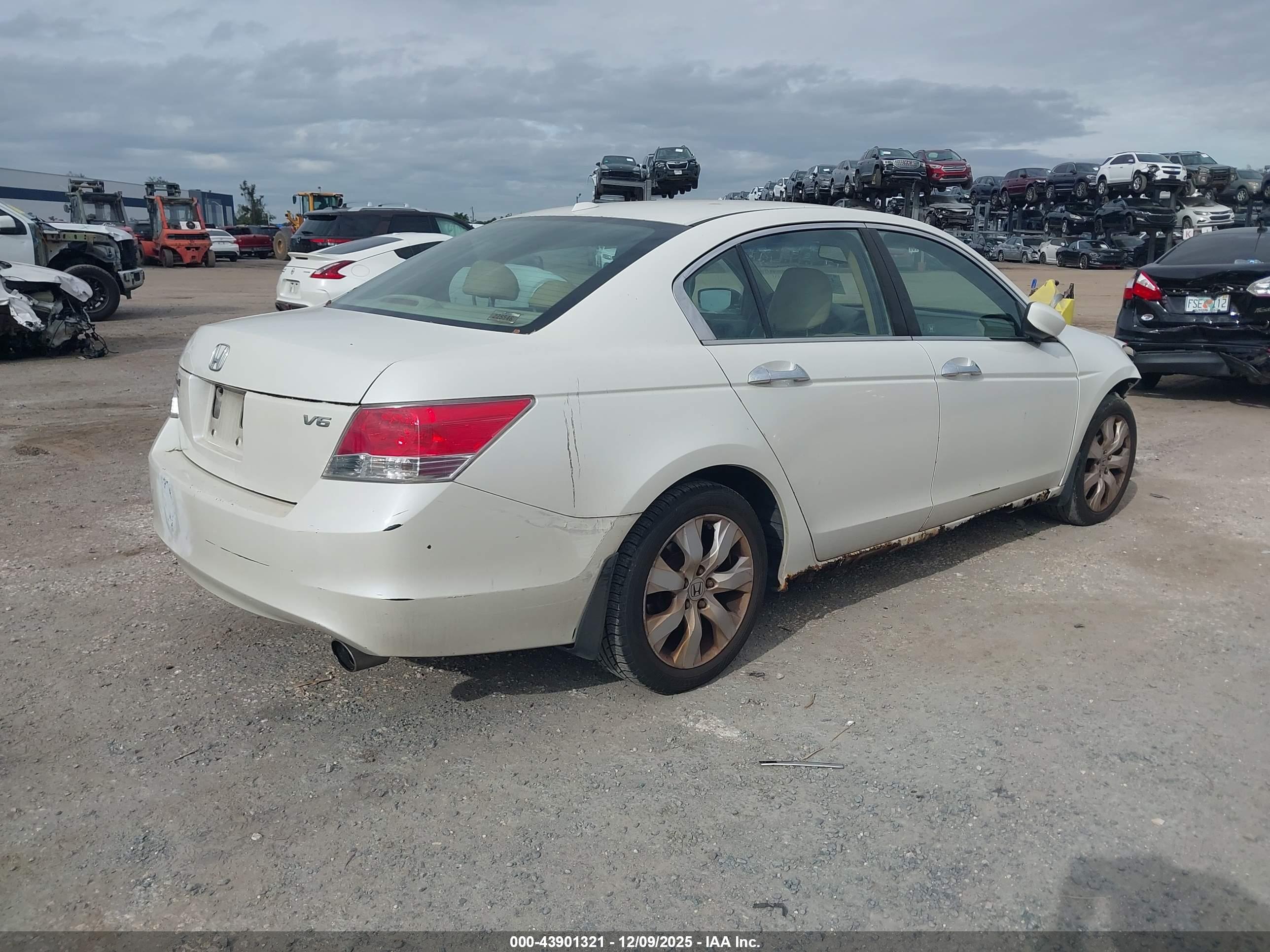 HONDA ACCORD image 4