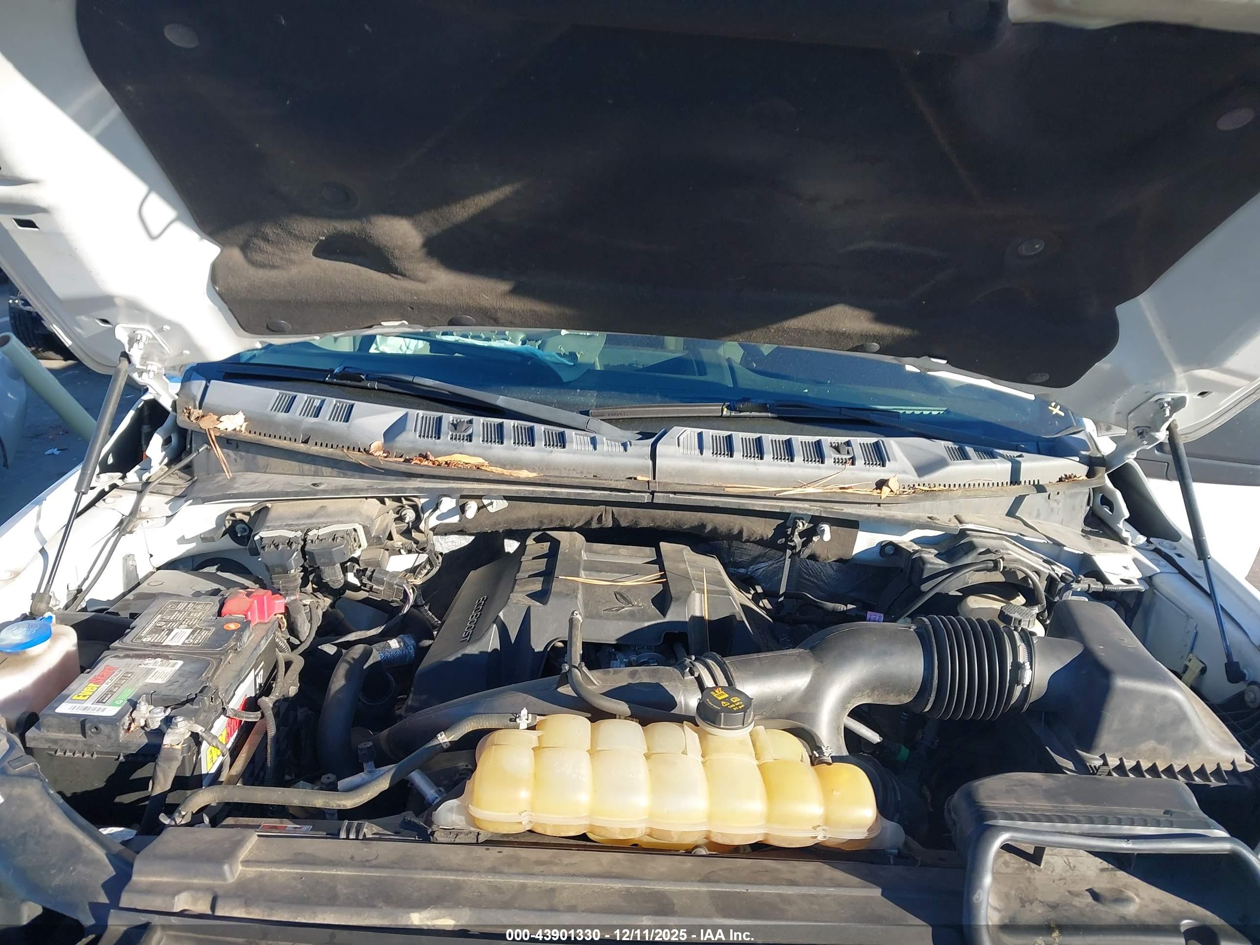 FORD F-150 image 10