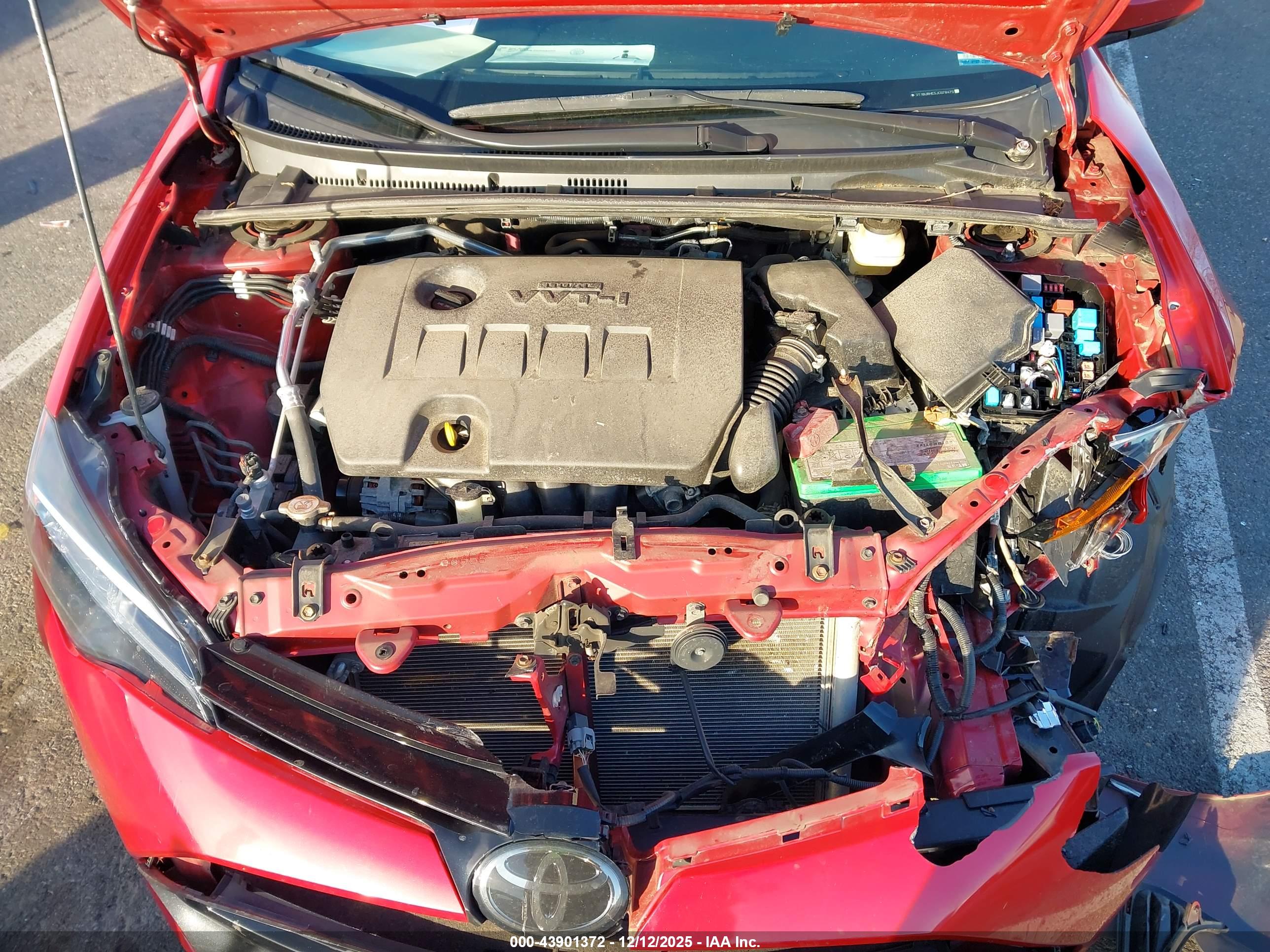 TOYOTA COROLLA image 10