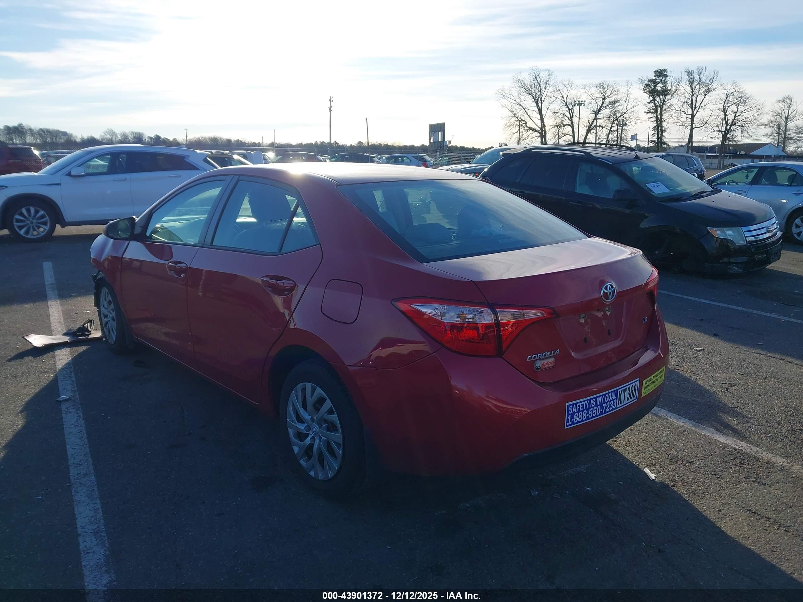 TOYOTA COROLLA image 3