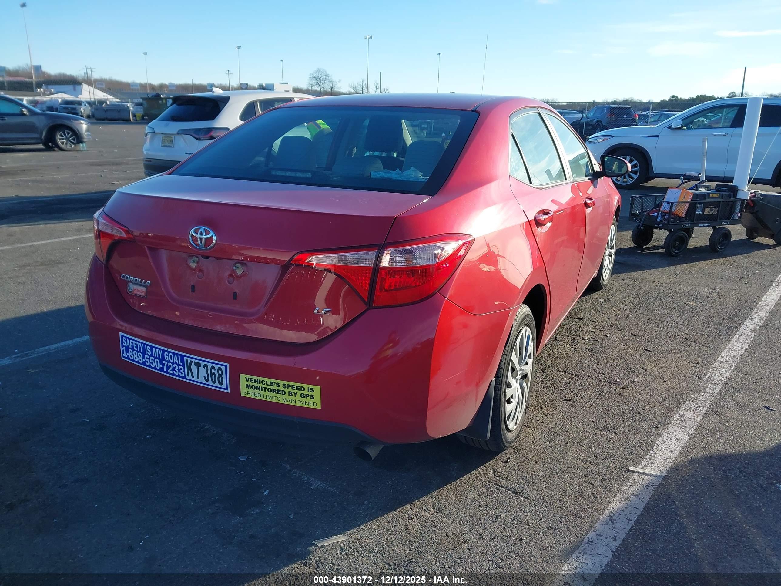TOYOTA COROLLA image 4
