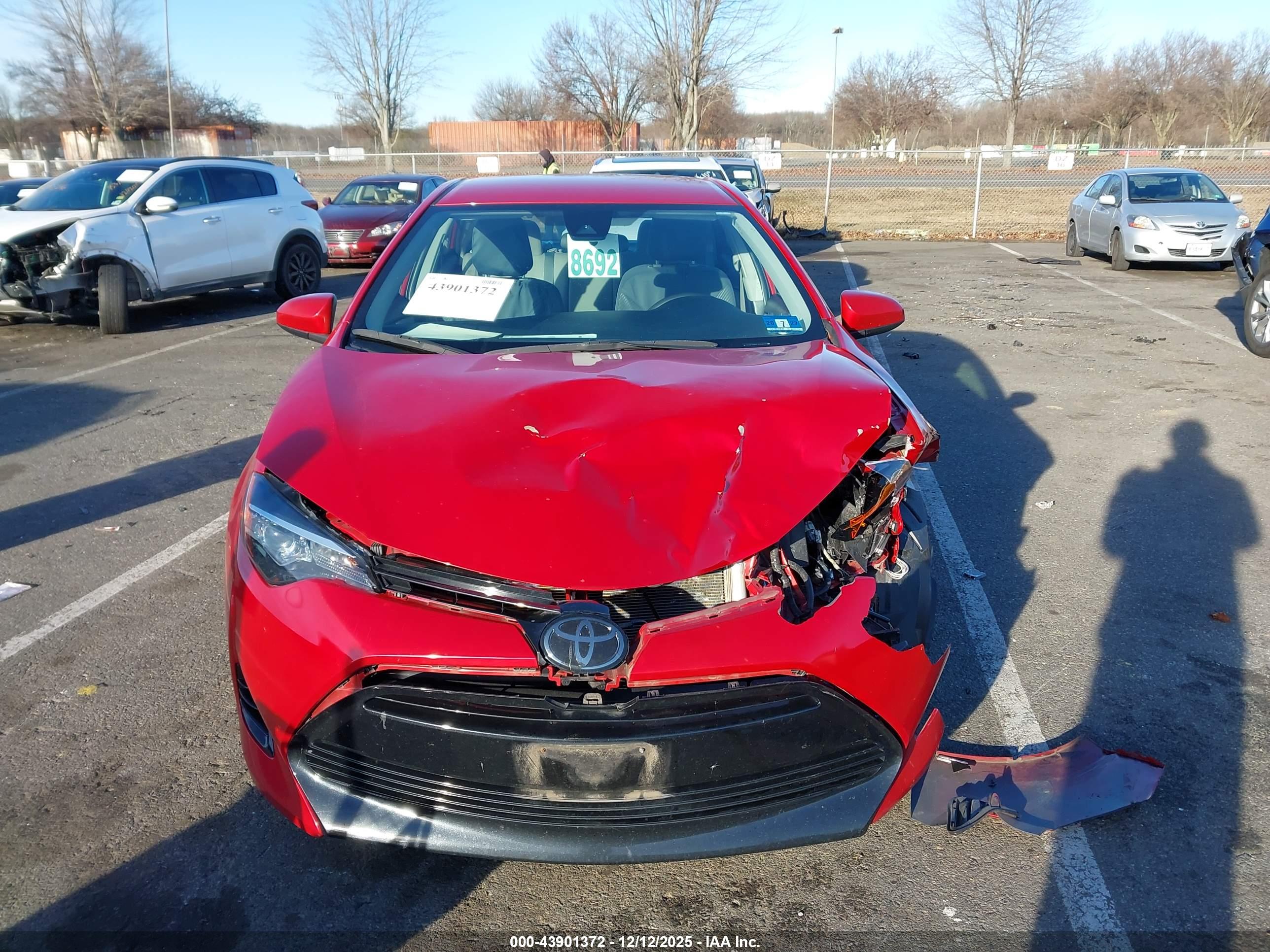TOYOTA COROLLA image 6