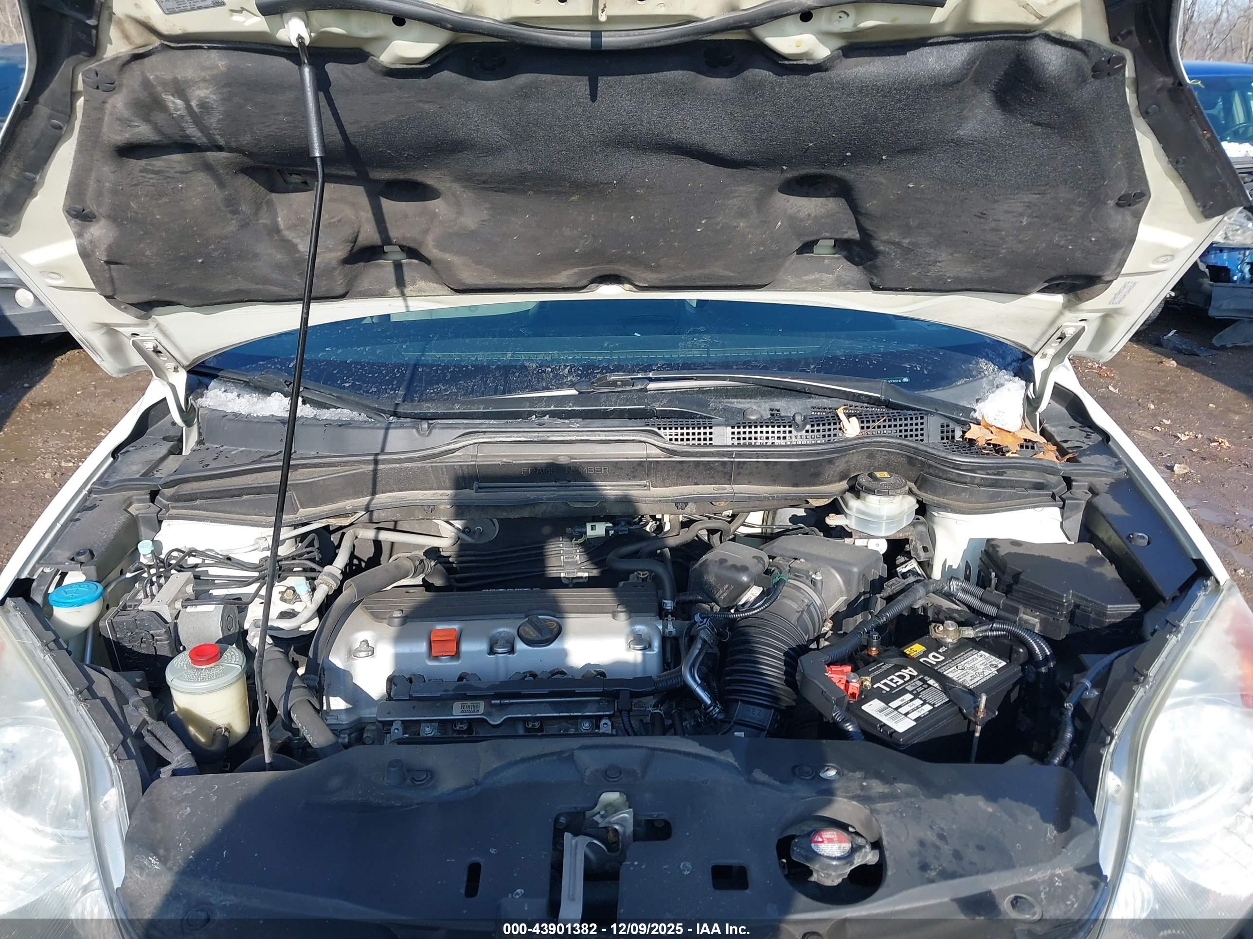 HONDA CR-V image 10