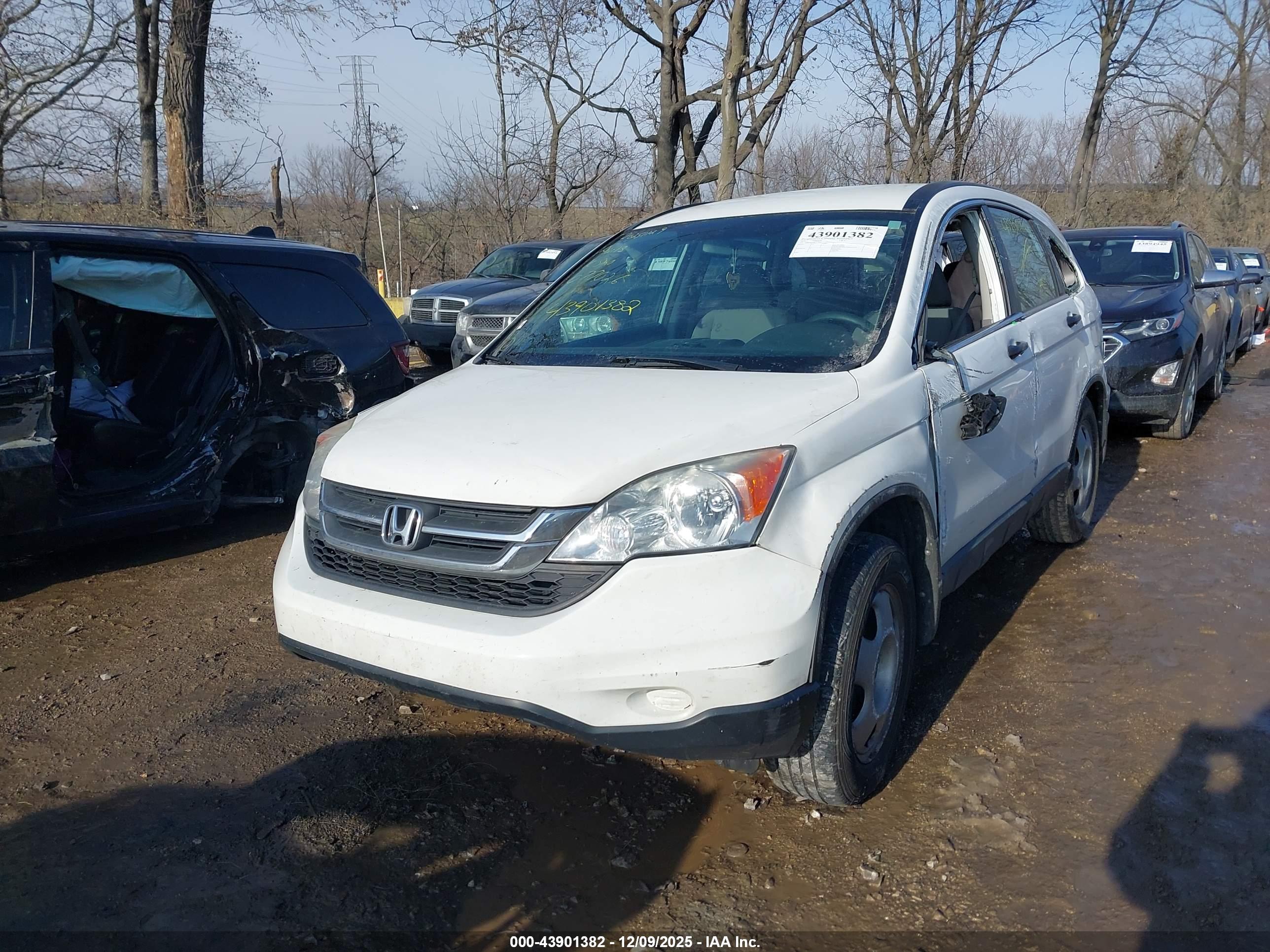 HONDA CR-V image 2