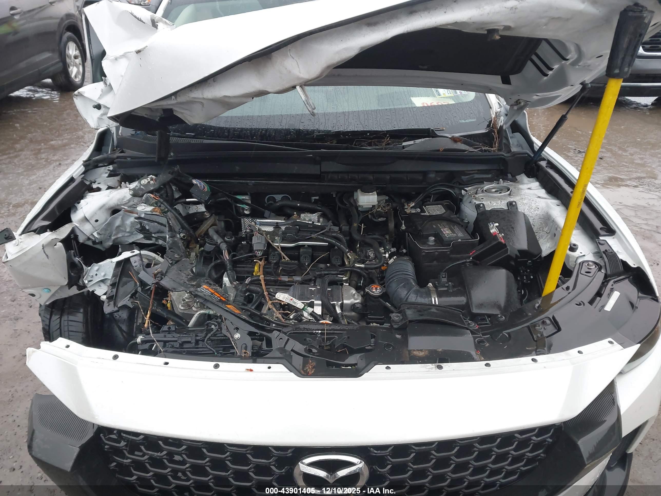 MAZDA CX-50 image 10
