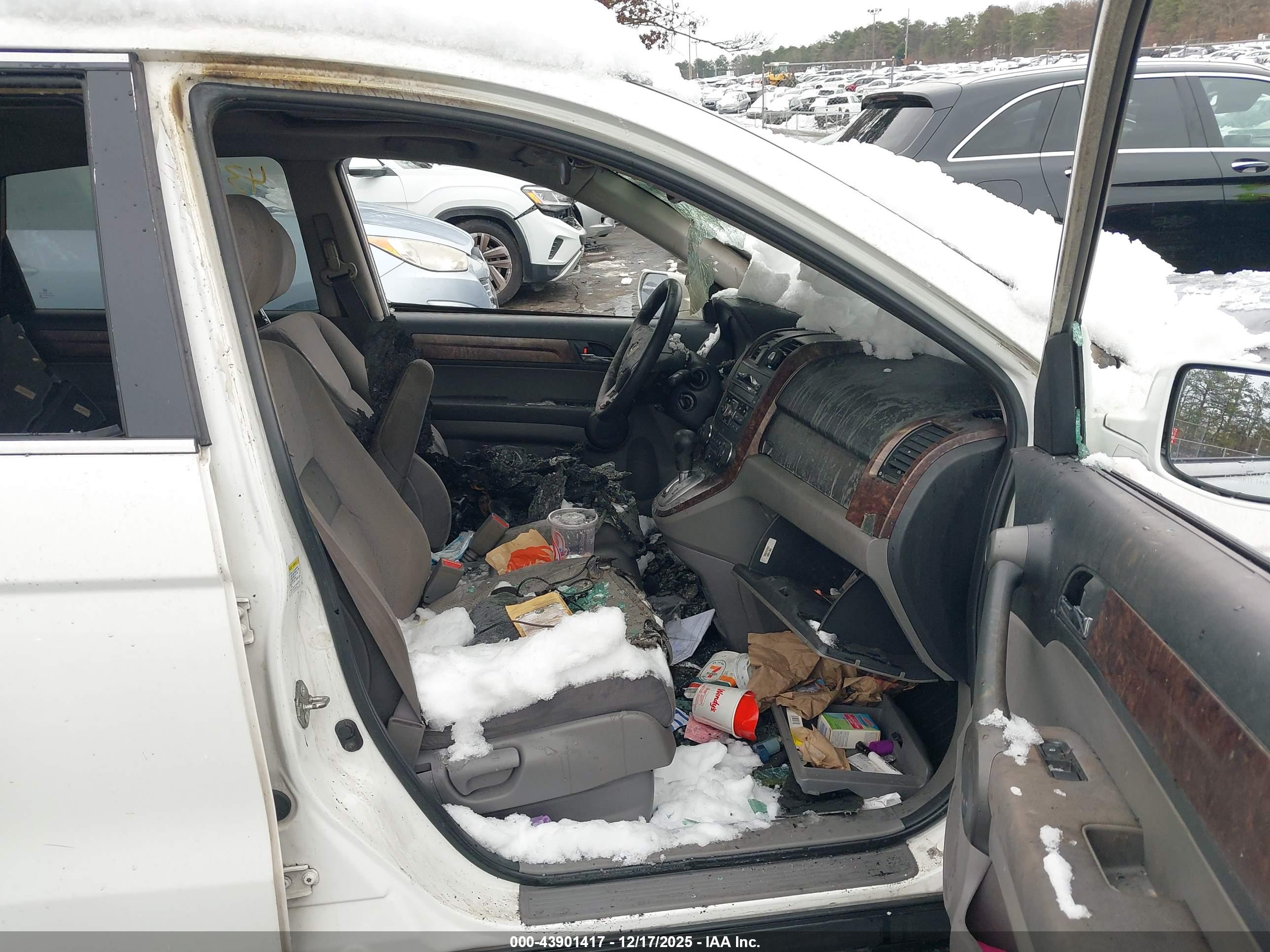 HONDA CR-V image 5