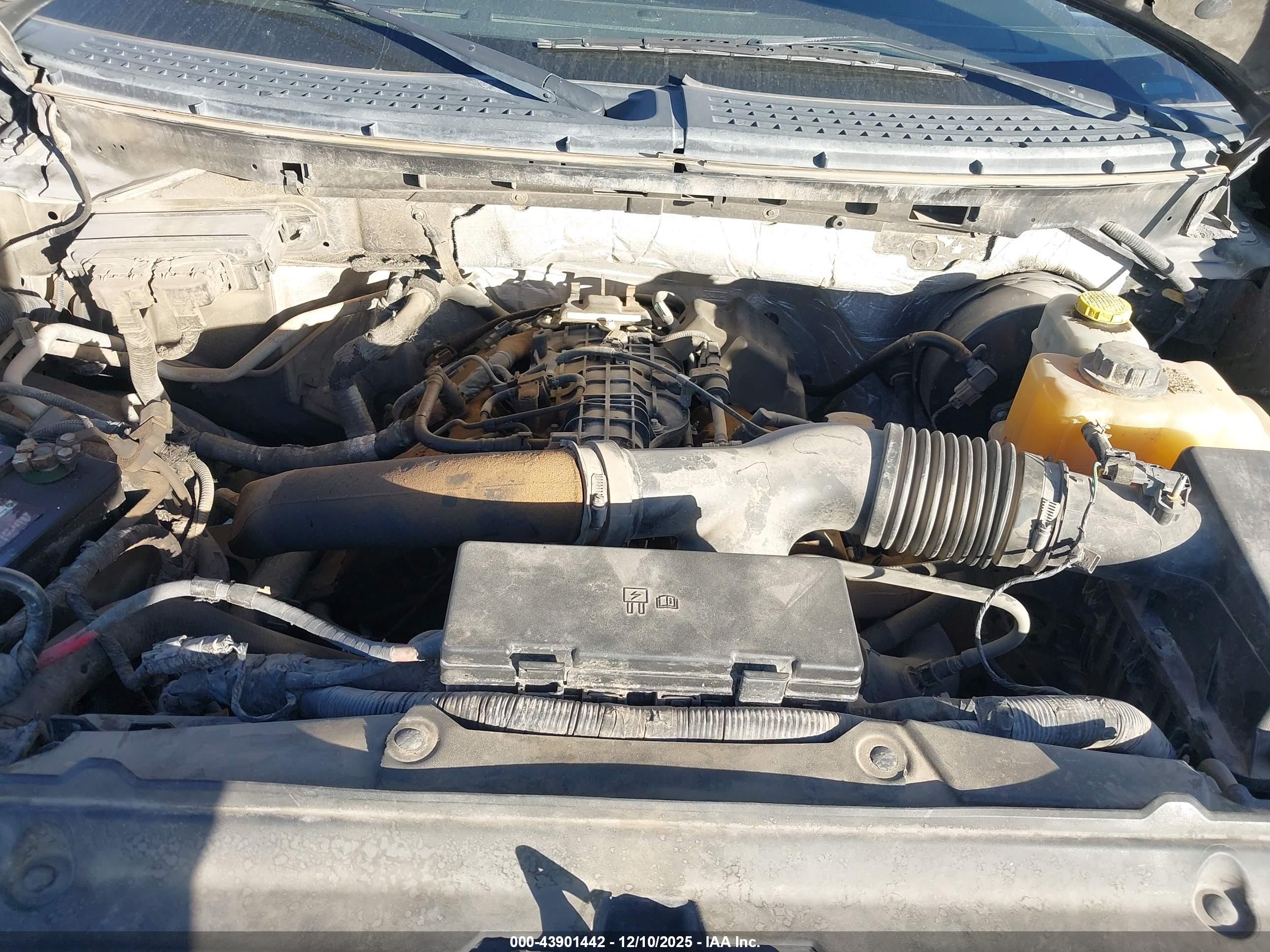 FORD F-150 image 10