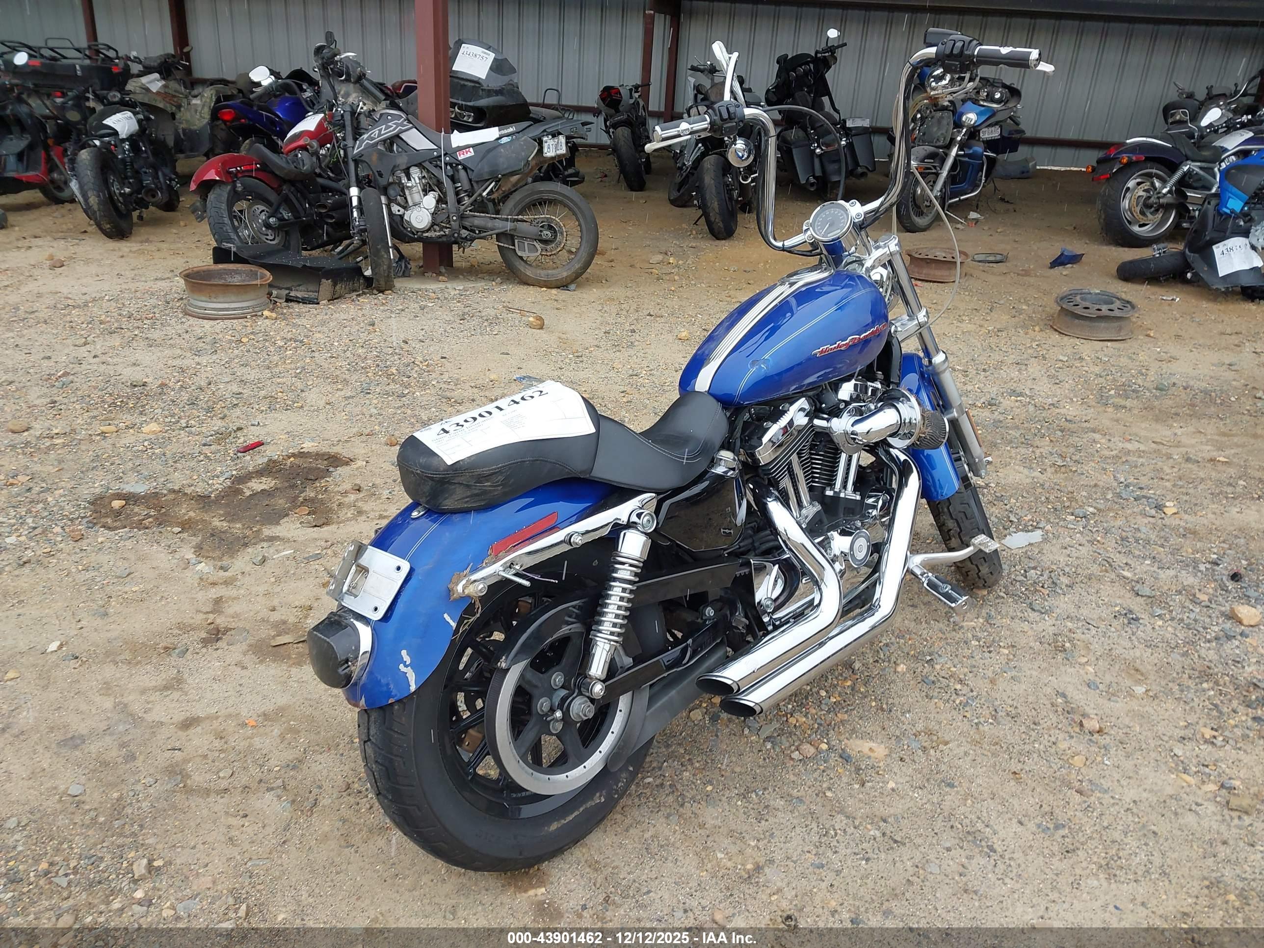 HARLEY-DAVIDSON XL1200 image 4