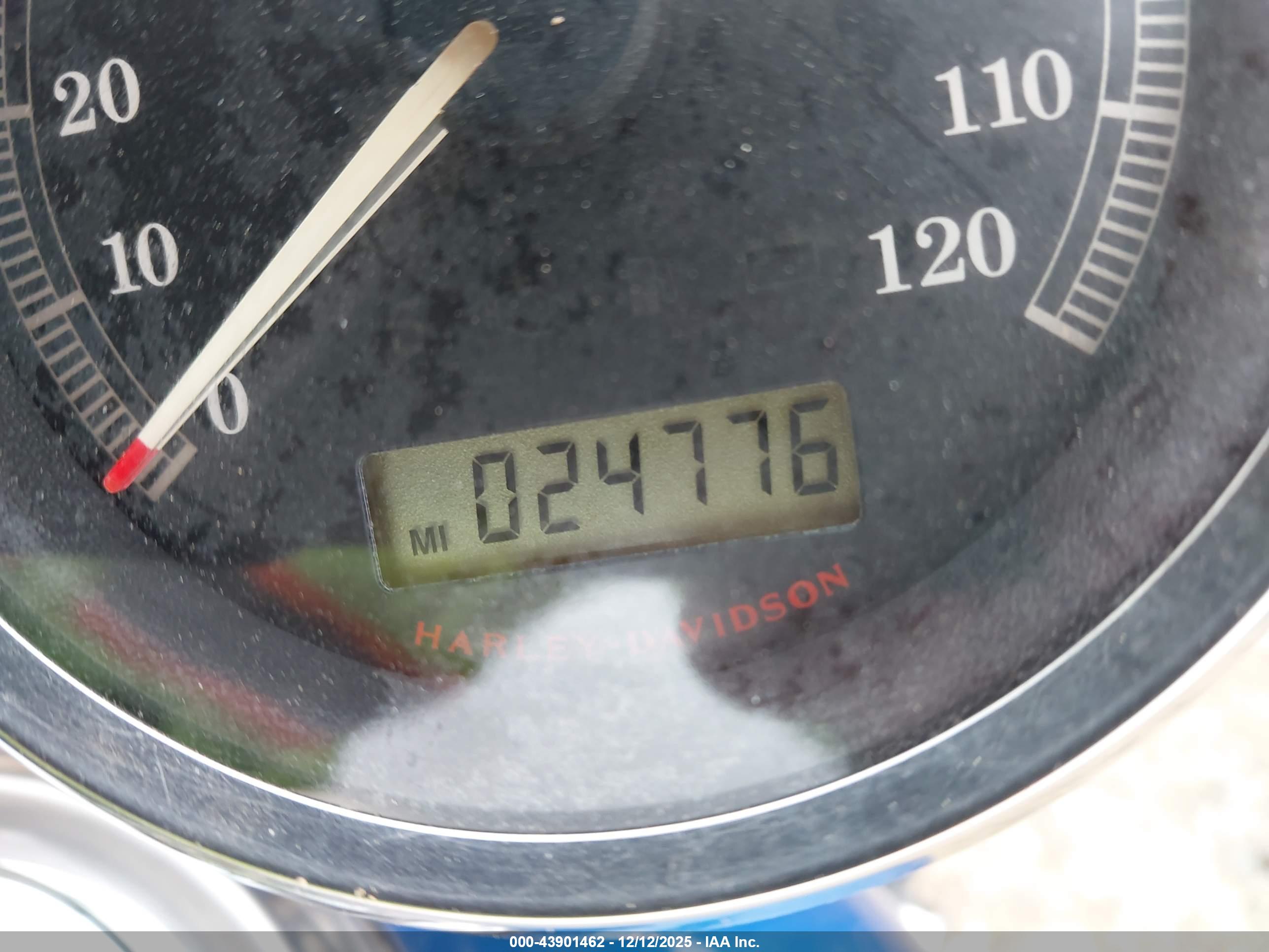 HARLEY-DAVIDSON XL1200 image 7
