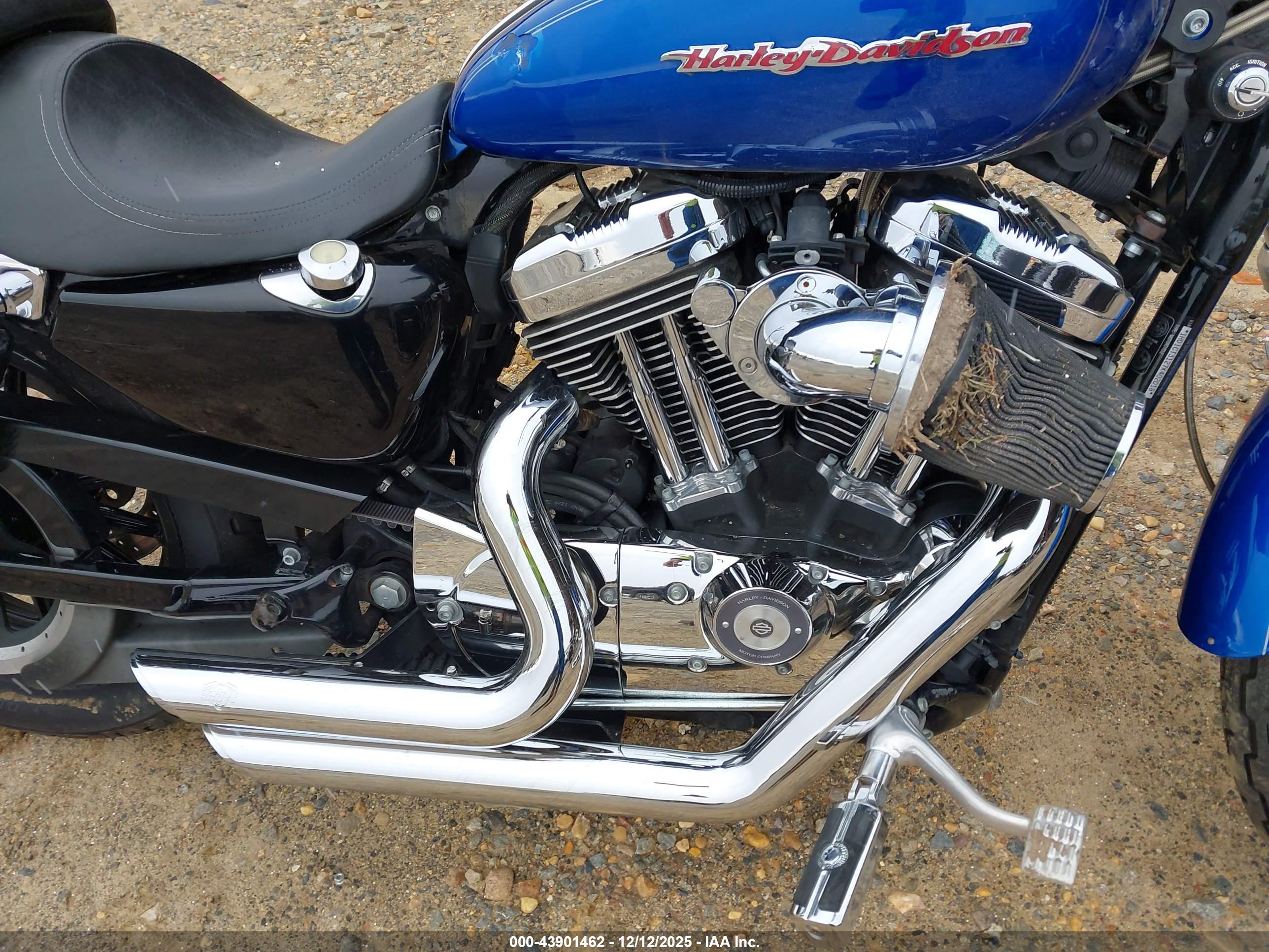 HARLEY-DAVIDSON XL1200 image 8