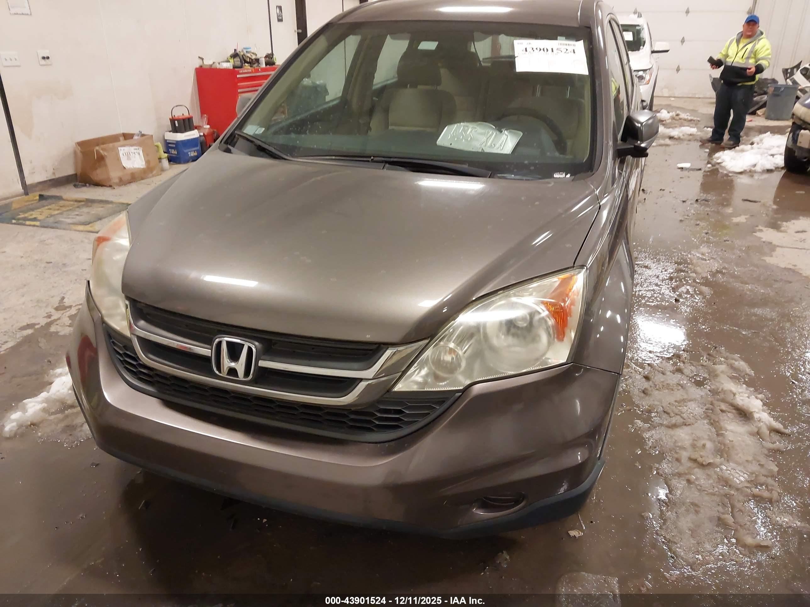 HONDA CR-V image 6