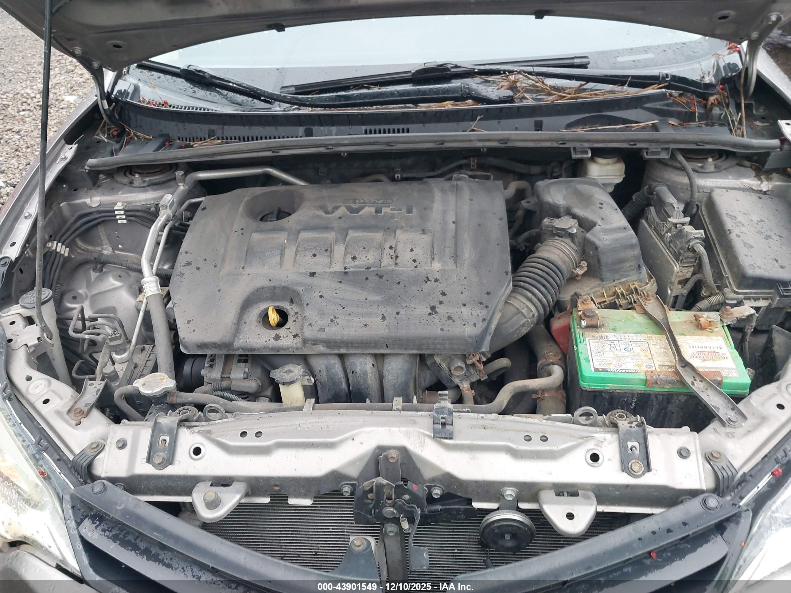 TOYOTA COROLLA image 10