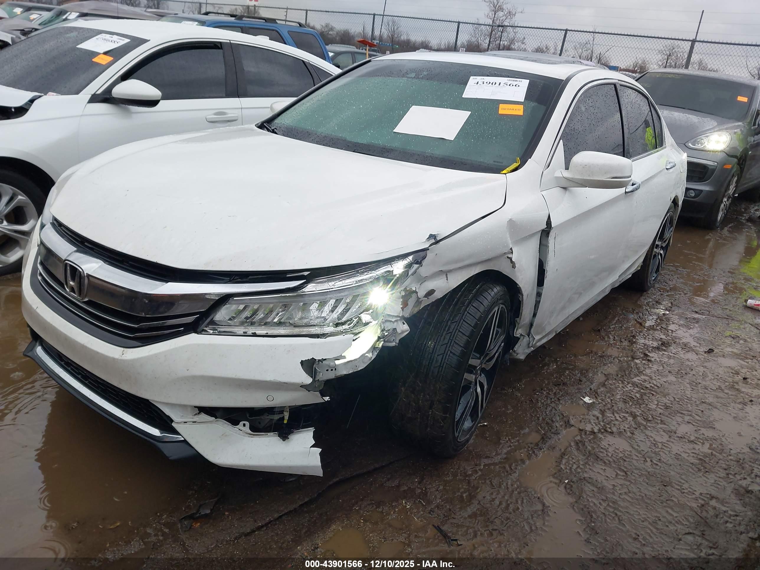 HONDA ACCORD image 2