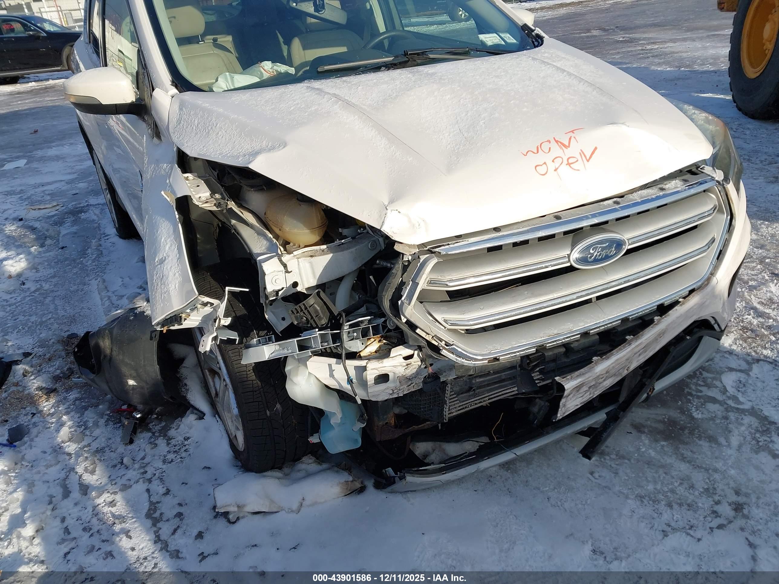 FORD ESCAPE image 6