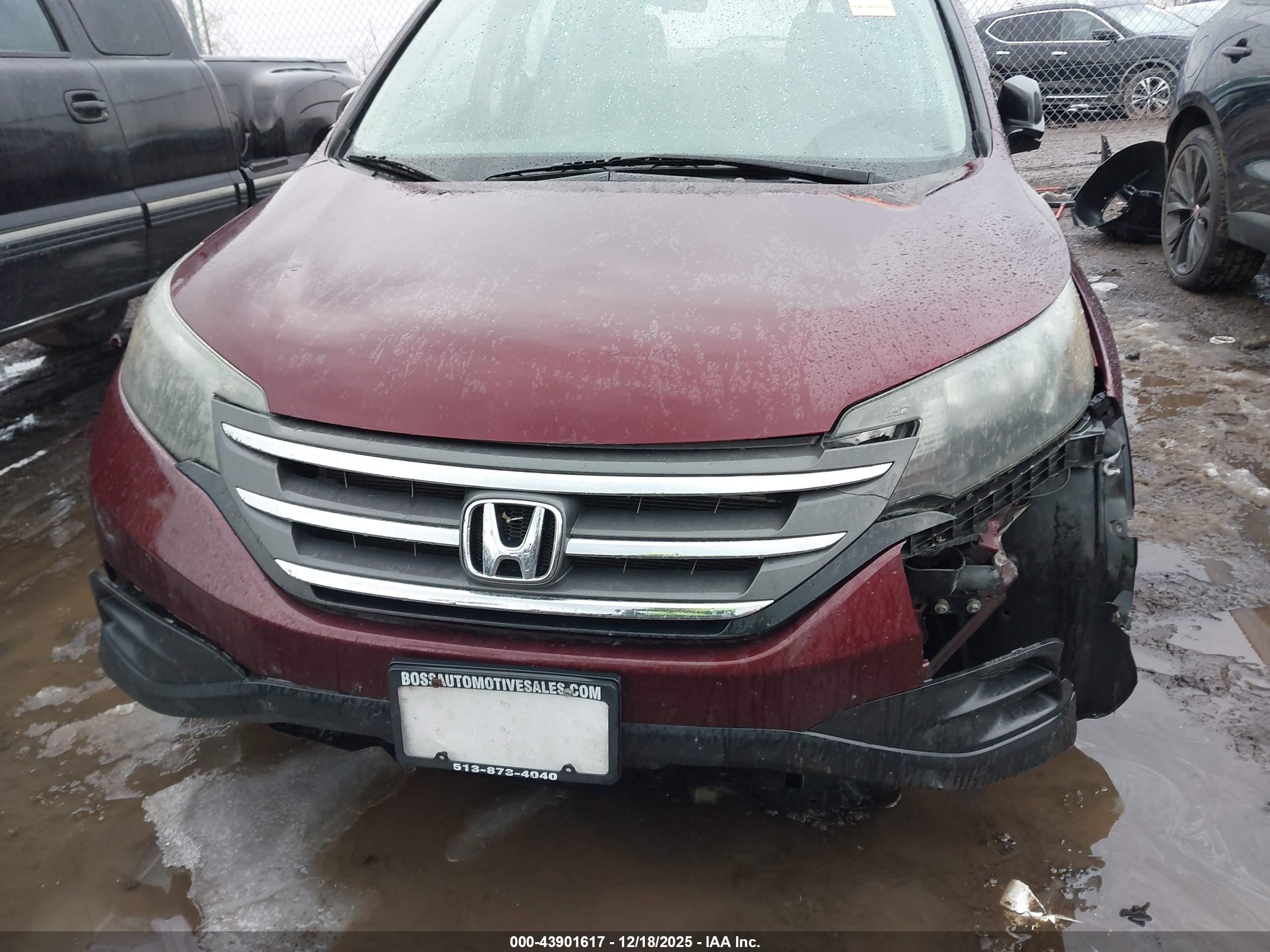 HONDA CR-V image 6