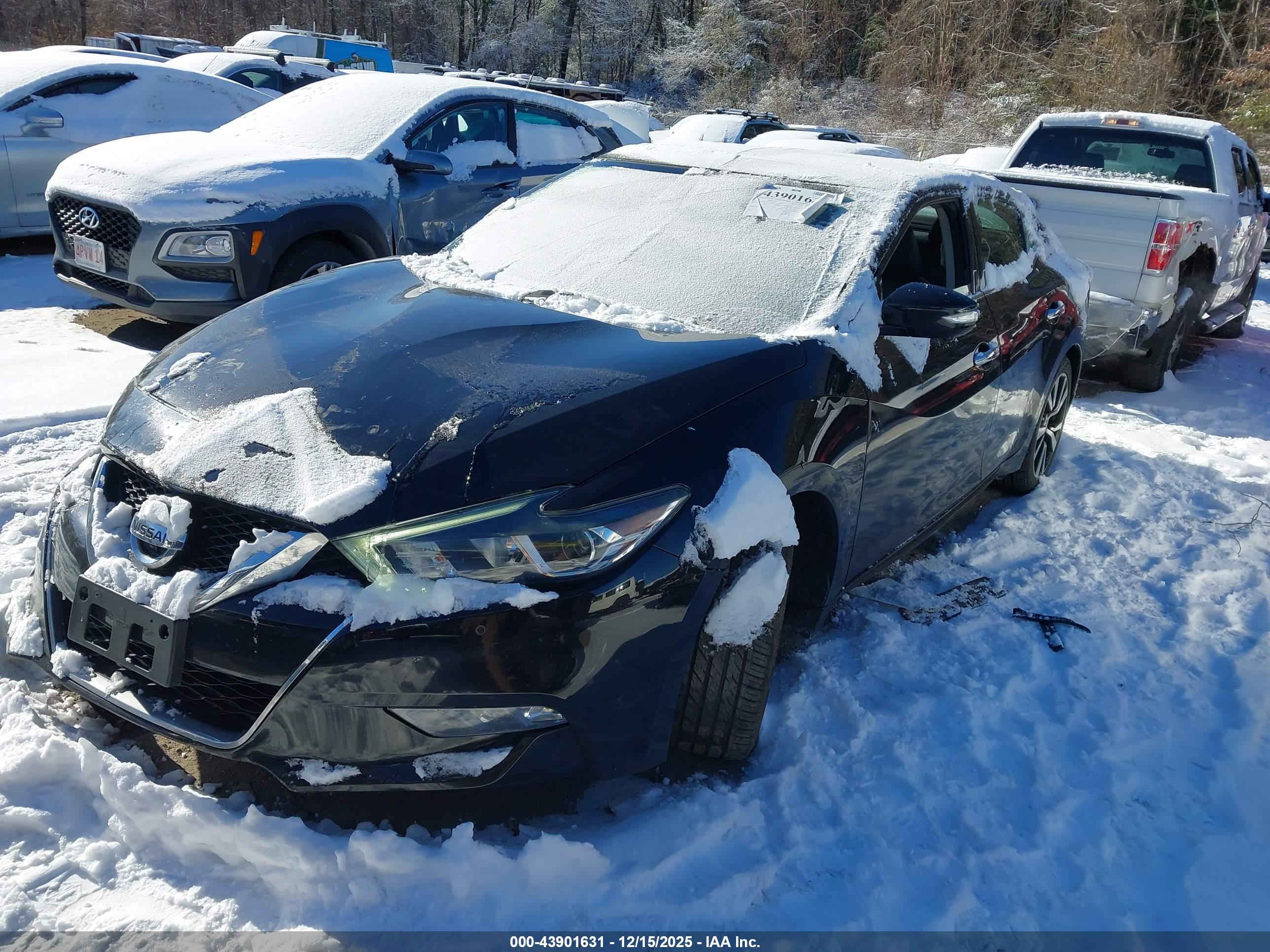 NISSAN MAXIMA image 2