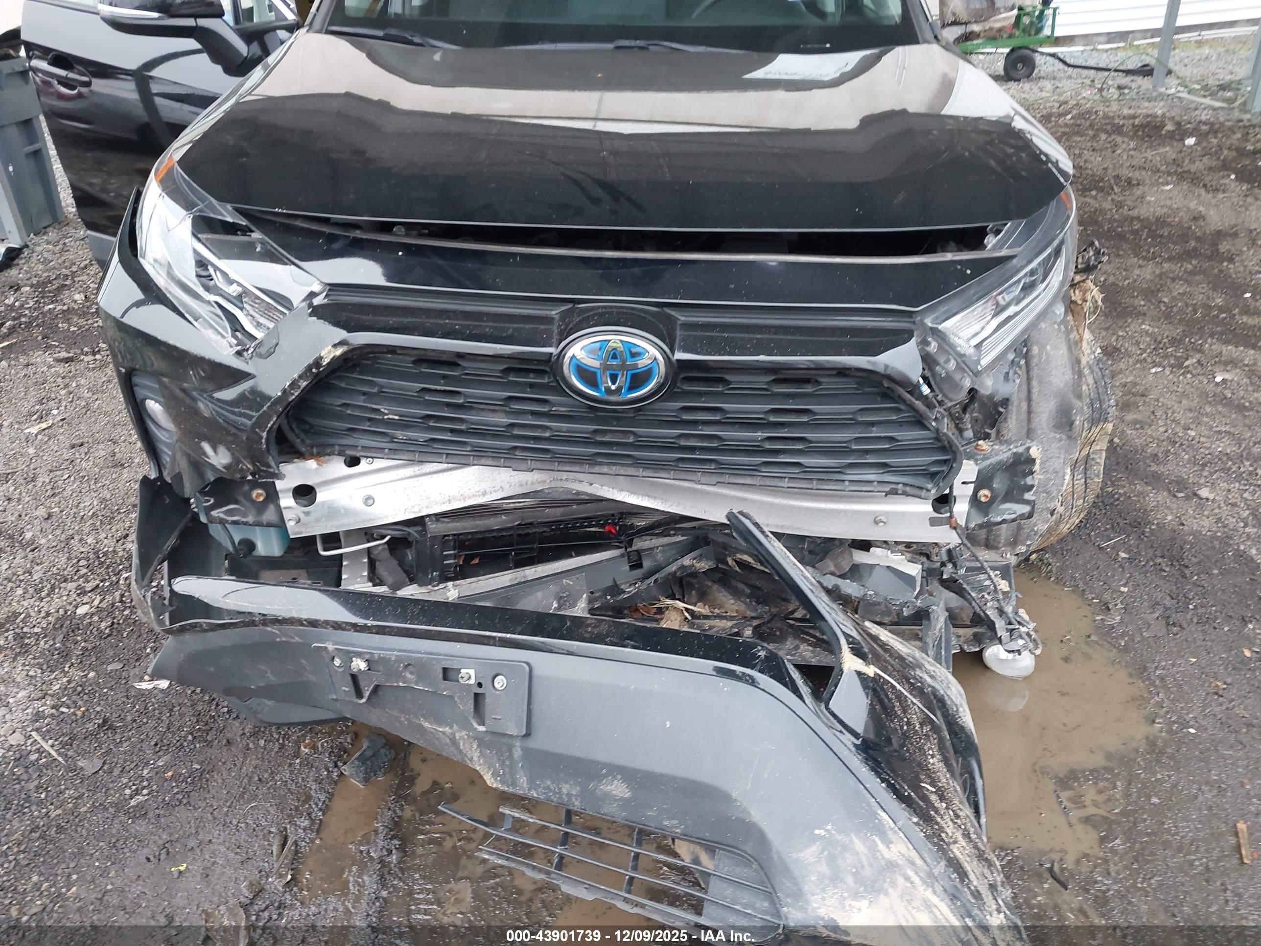TOYOTA RAV4 image 6