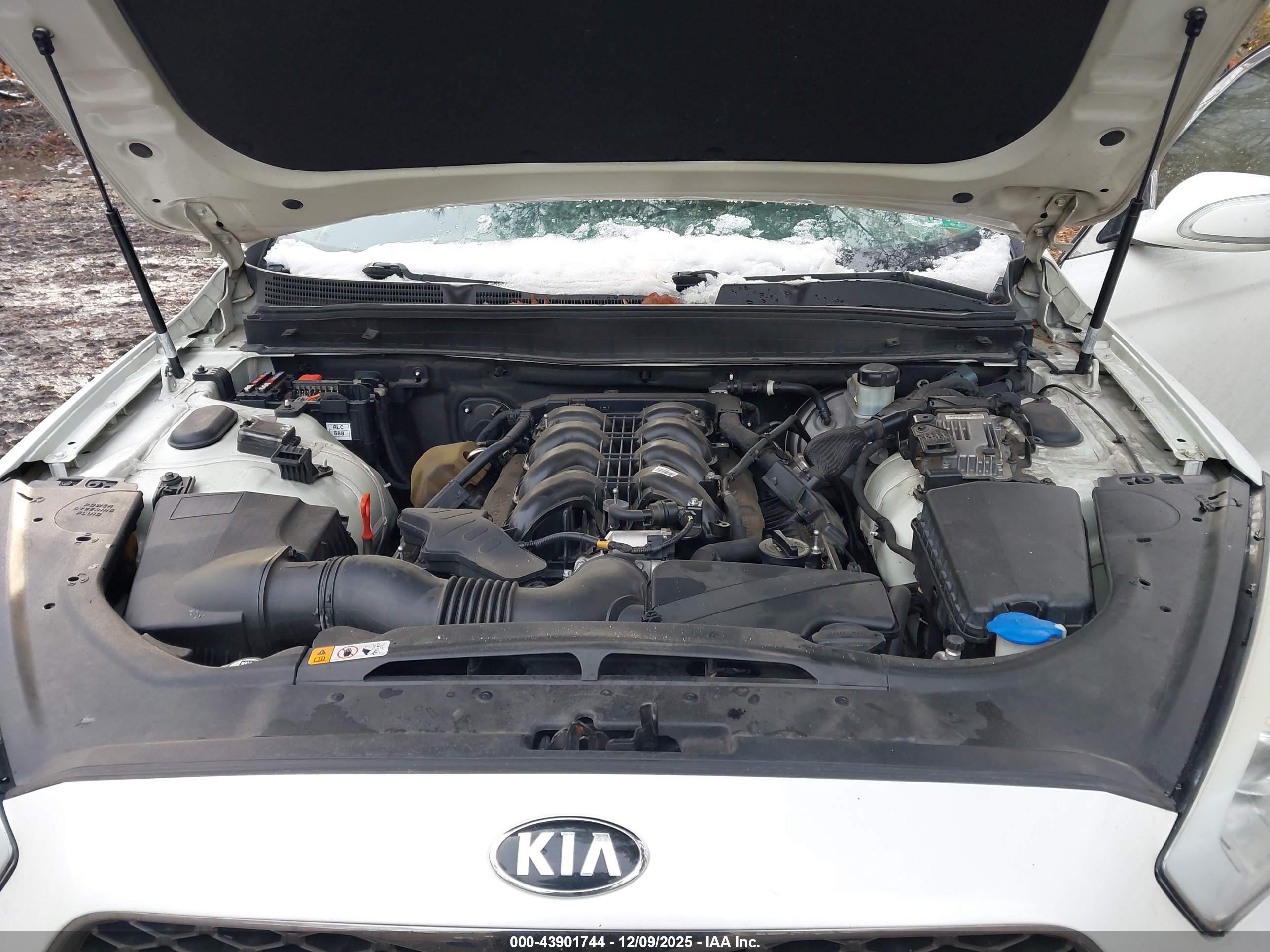 KIA K900 image 10